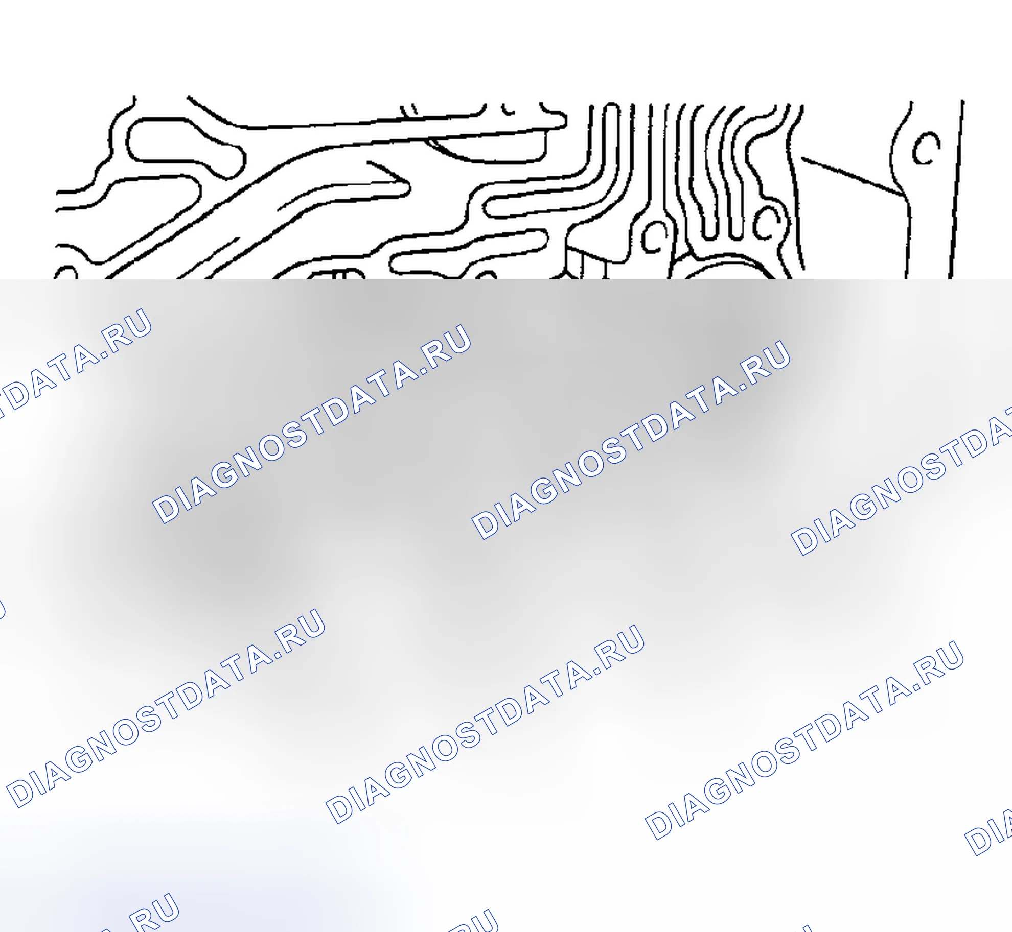 Рис. 230. Haval Chitu I