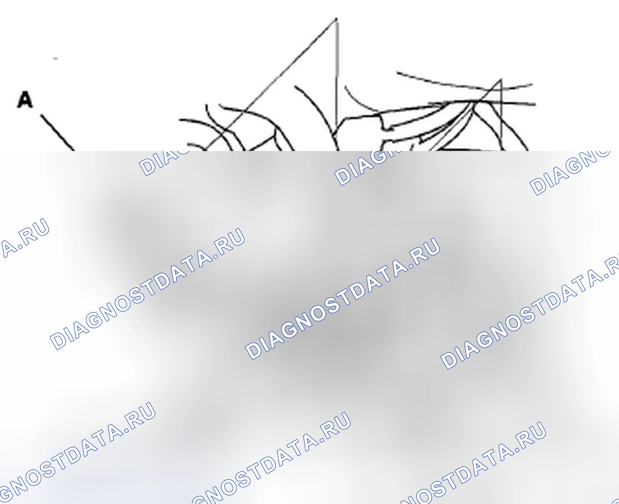 Рис. 121. Honda Insight ZE2