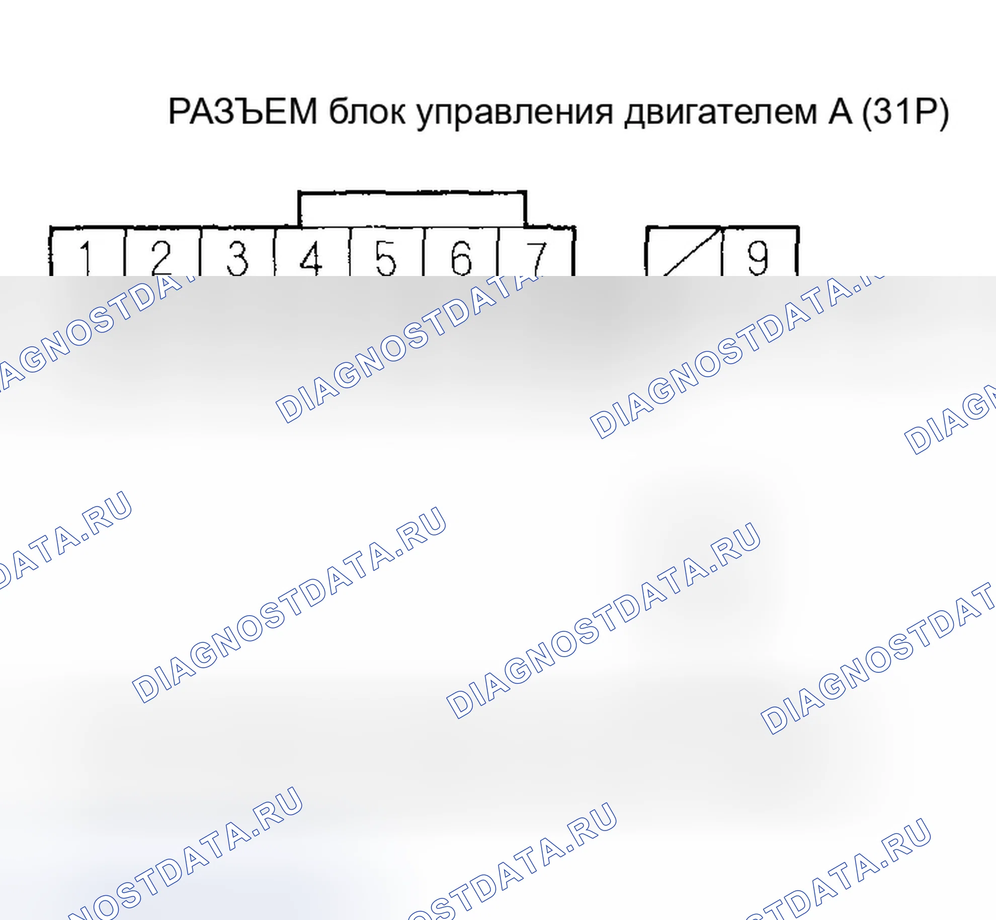 Рис. 667. Honda Civic VII рестайлинг