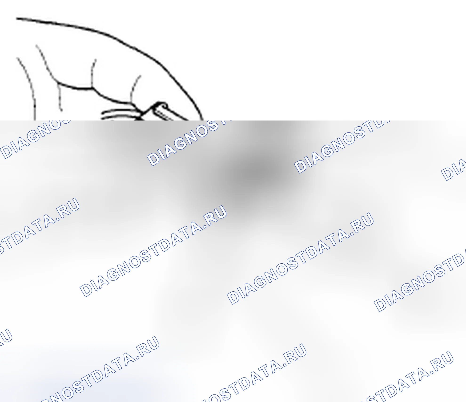Рис. 295: Отключение. Honda Accord VIII рестайлинг