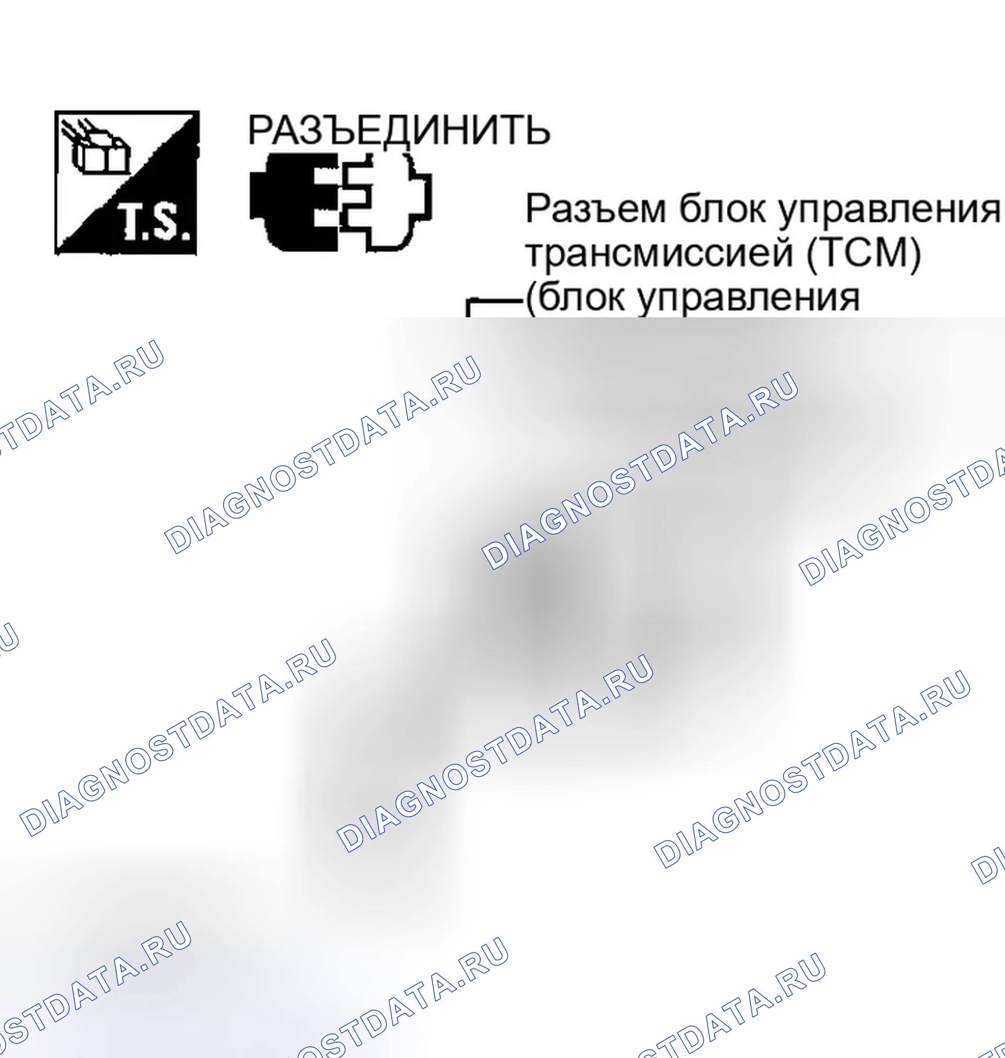 Рис. 691: 4. Проверка цепи массы блок управления трансмиссией (TCM) (блок управления трансмиссией). Infiniti G35 III