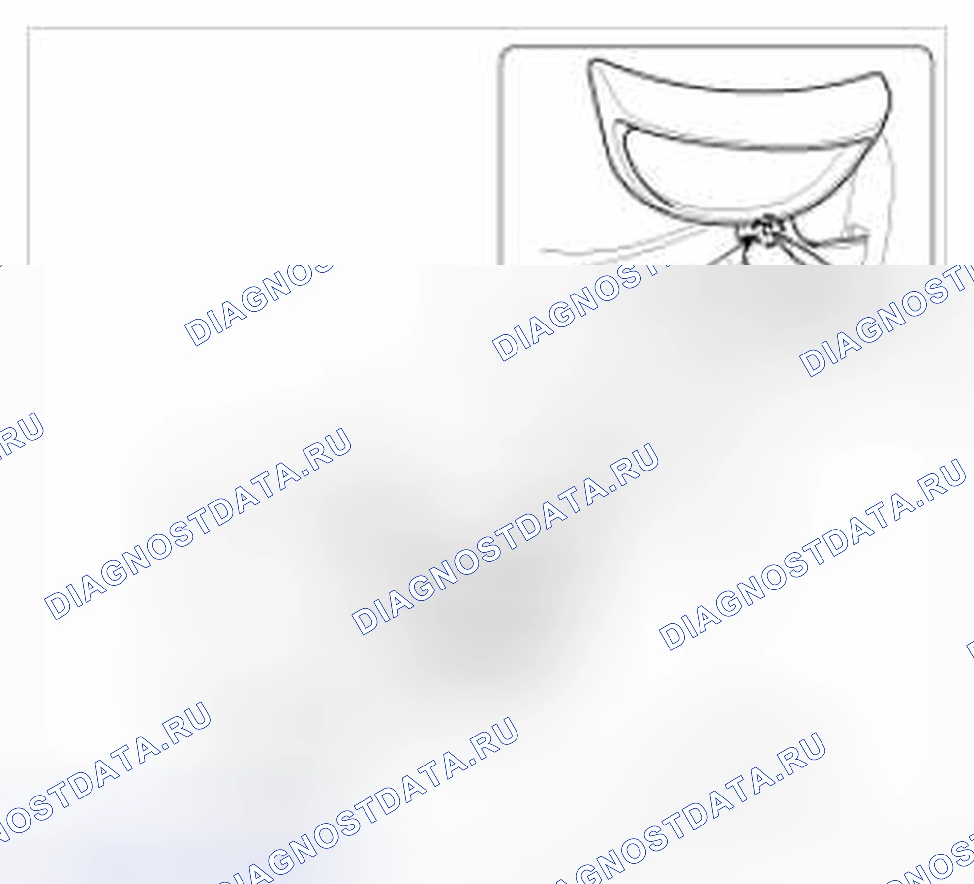 Рис. 6. BMW 6 серия F06/F13/F12