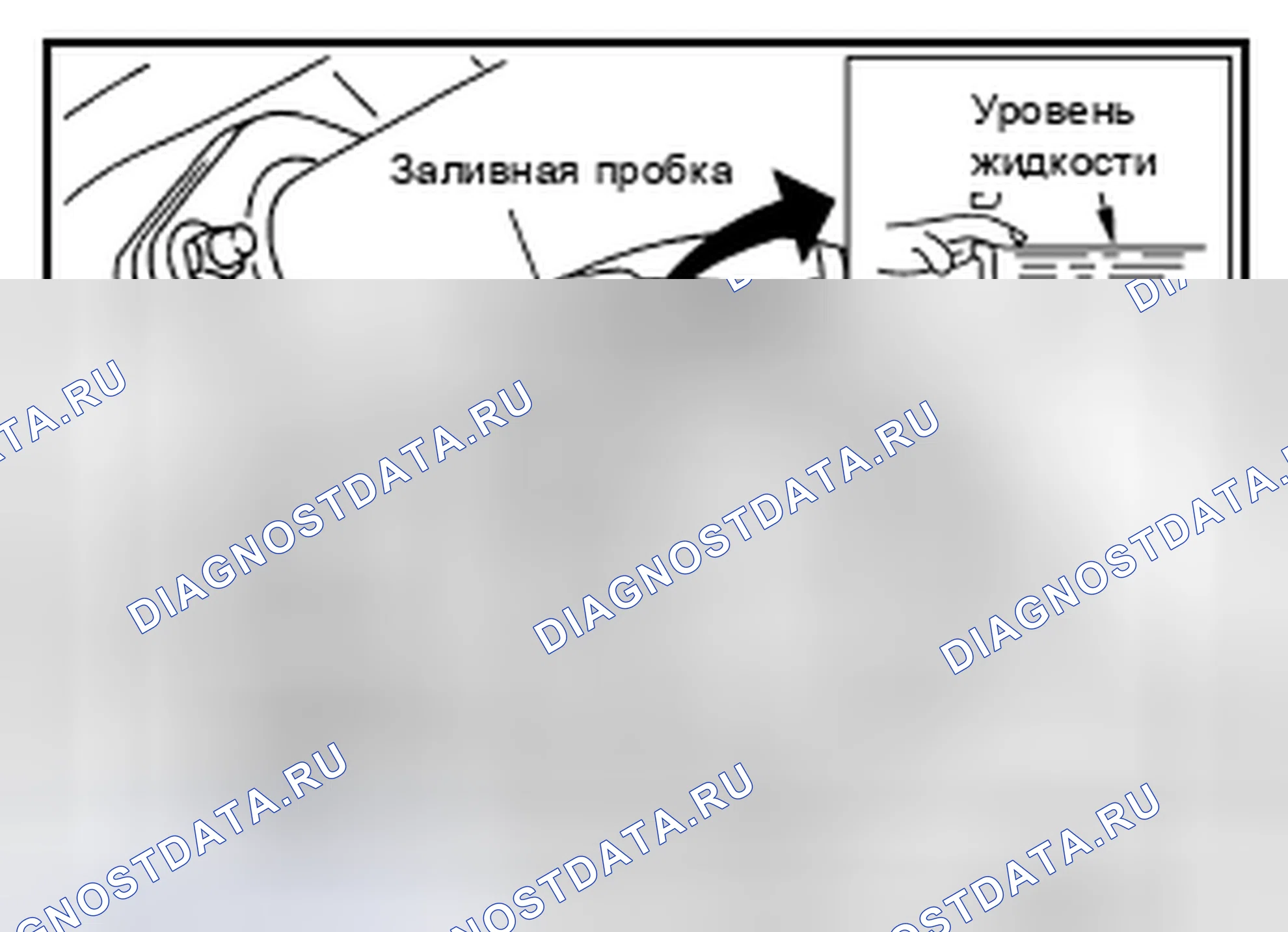 Рис. 134: ЗАПОЛНЕНИЕ. Nissan Pathfinder III рестайлинг