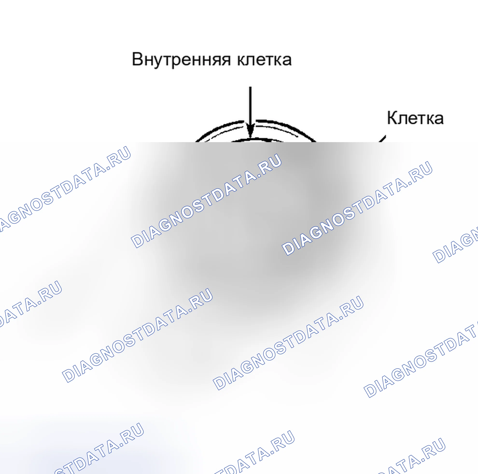 Рис. 10. Subaru Legacy BD/BG/BK