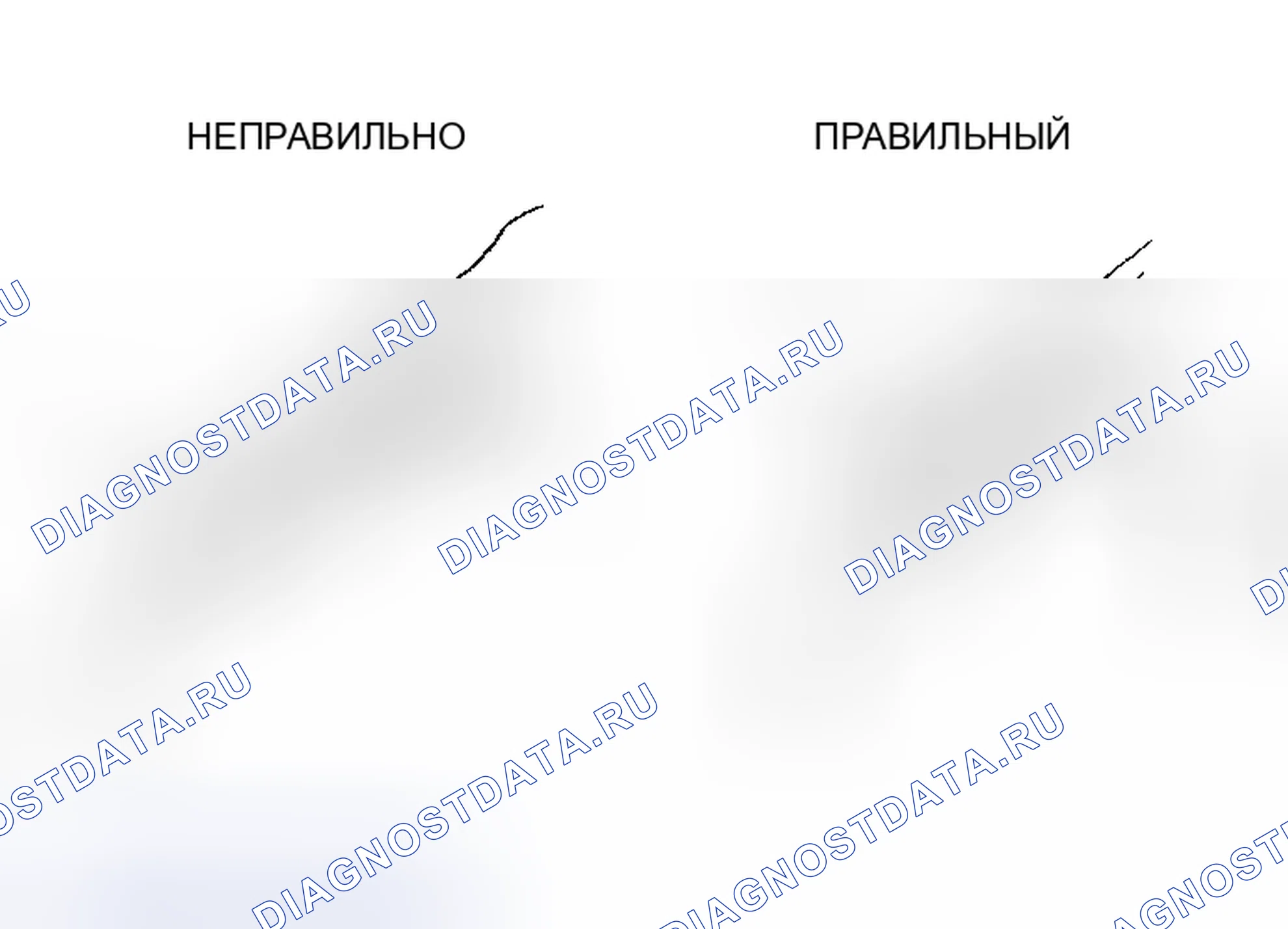 Рис. 10. Haval Xiaolong Max I