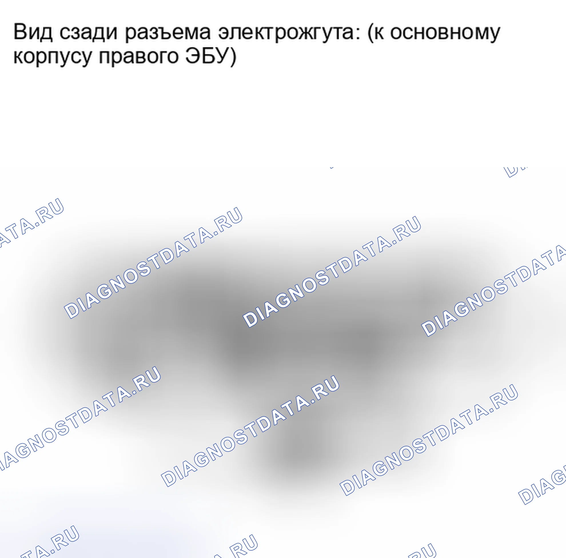 Рис. 391. Lexus IS F I
