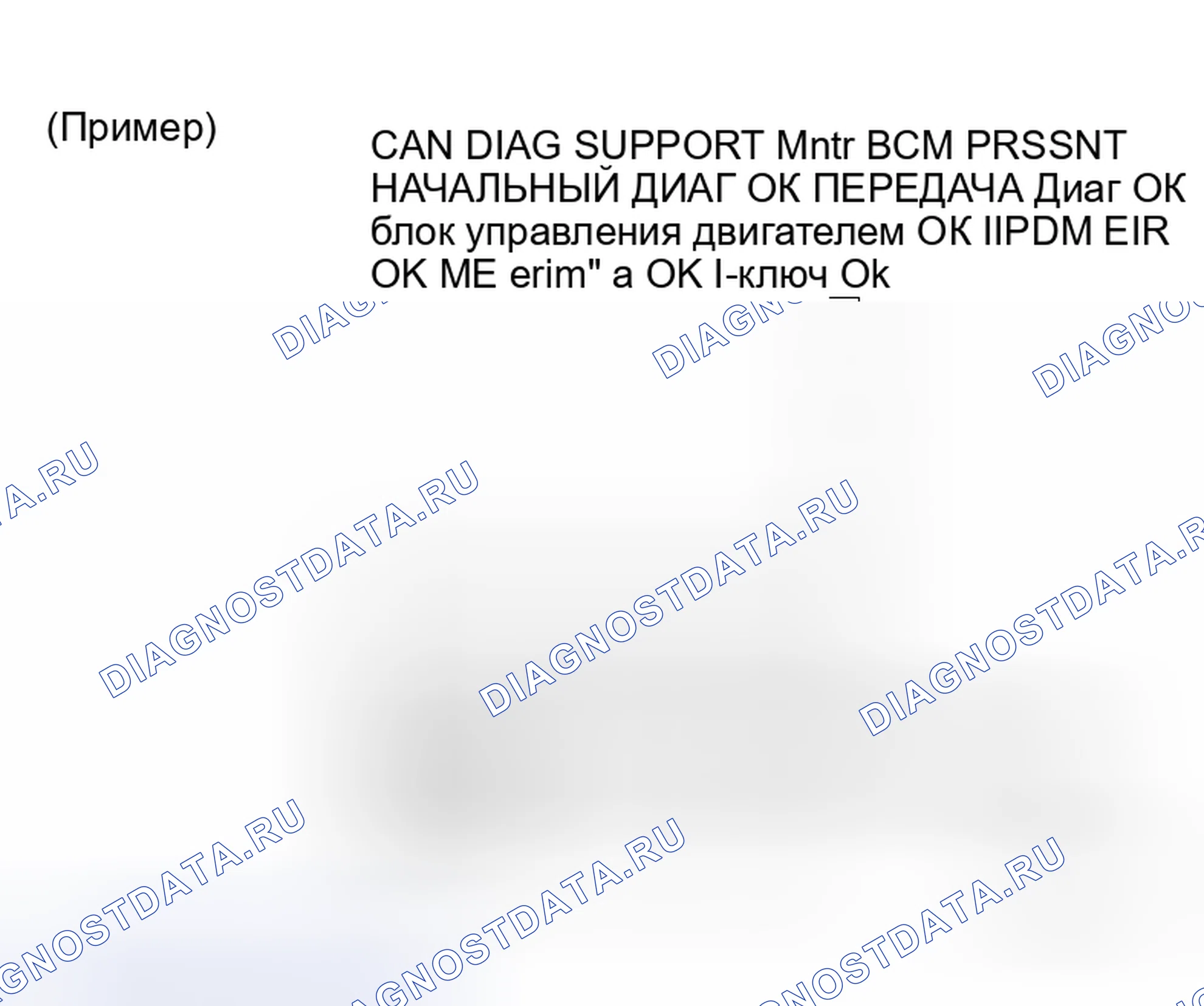 Рис. 22: ОПИСАНИЕ ЭКРАНА " CAN DIAG SUPPORT Mntr " ДЛЯ BCM. Honda Torneo I