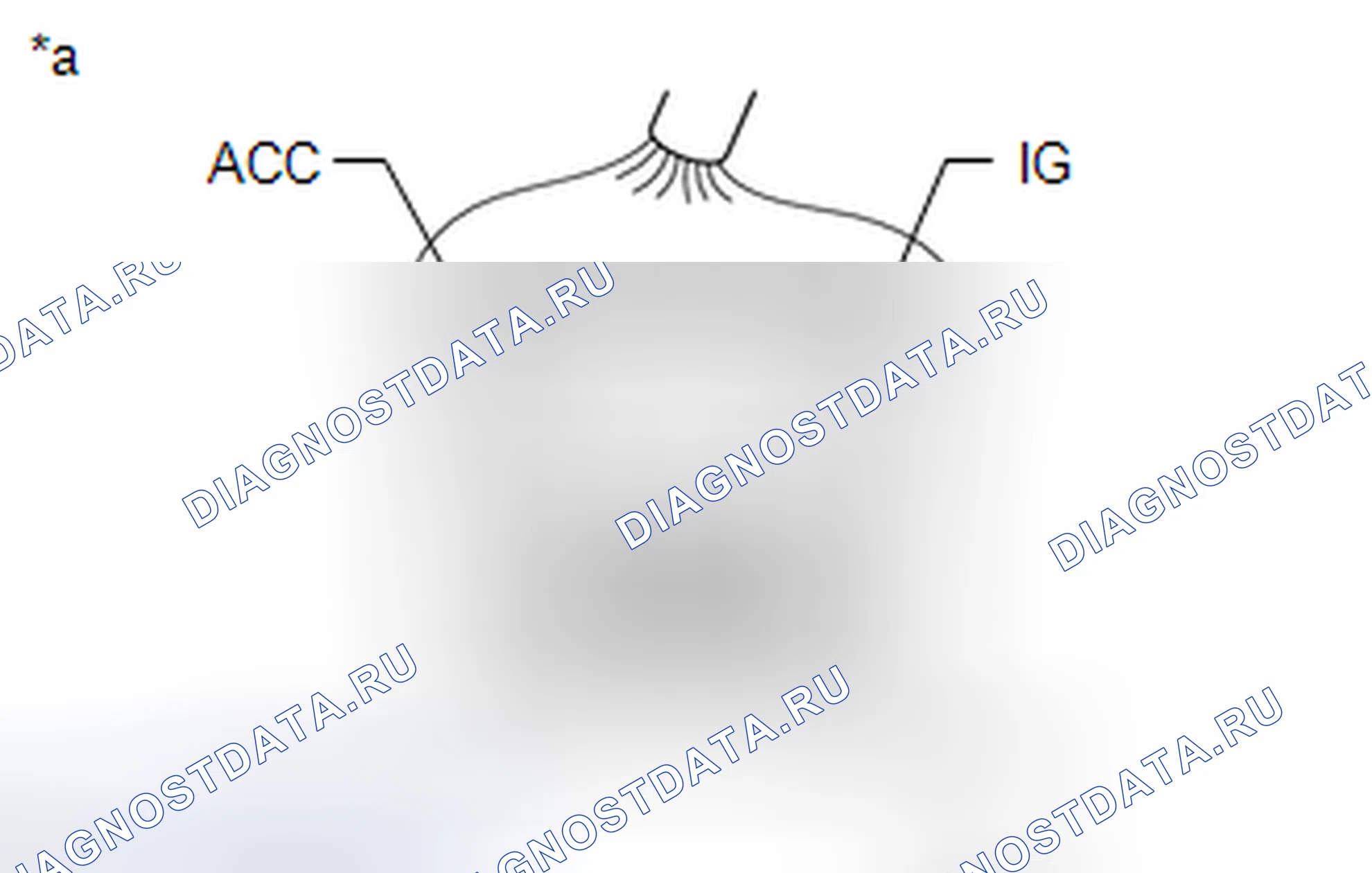 Рис. 308: ПОРЯДОК ВЫПОЛНЕНИЯ РАБОТ. Toyota Corolla XI