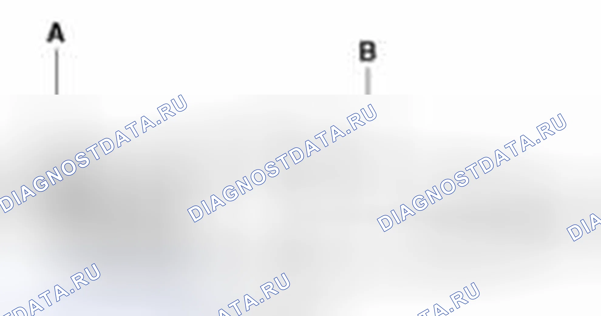 Рис. 9. Haval Beast (Shenshou) I