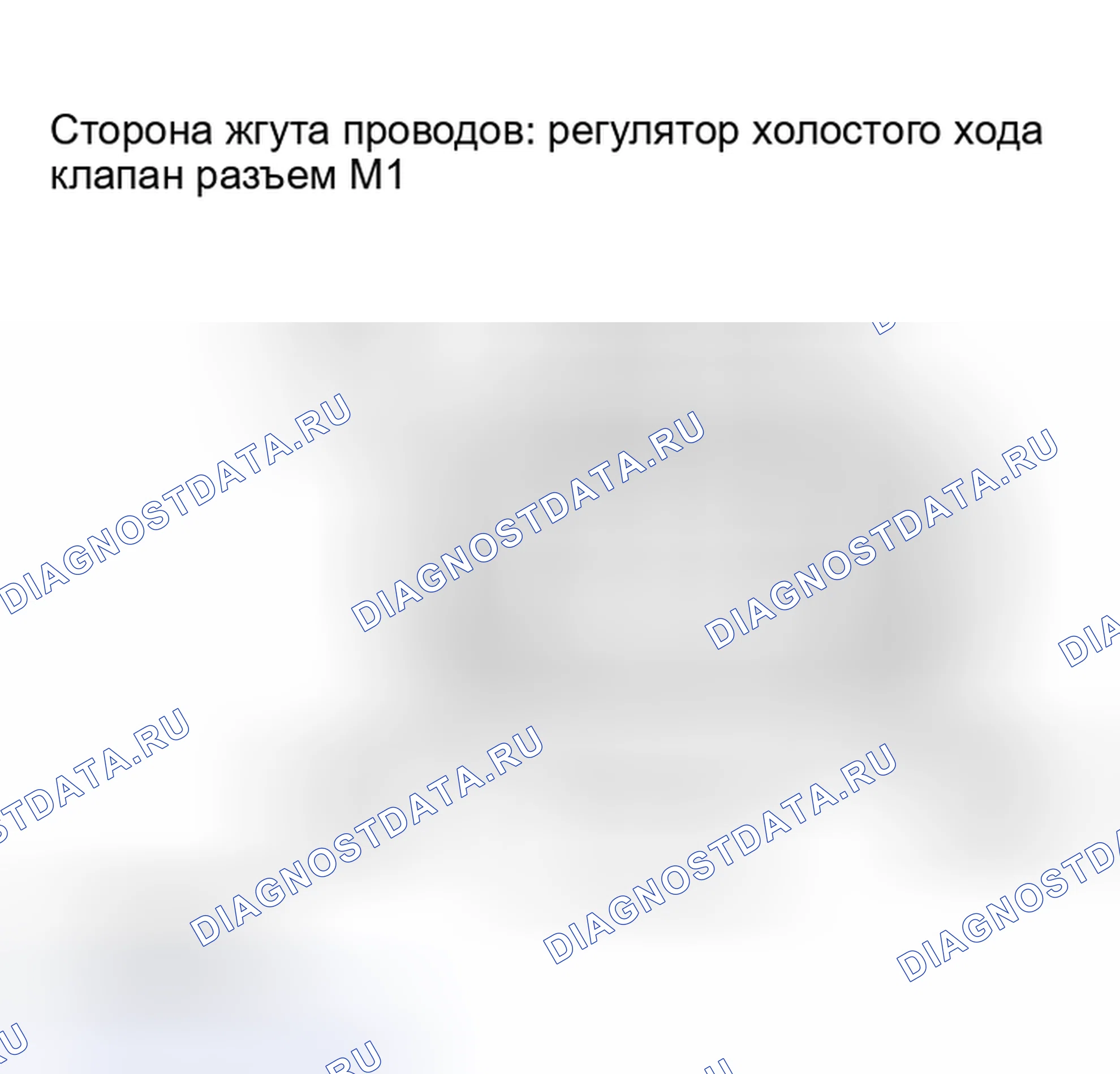 Рис. 246. Scion xB I