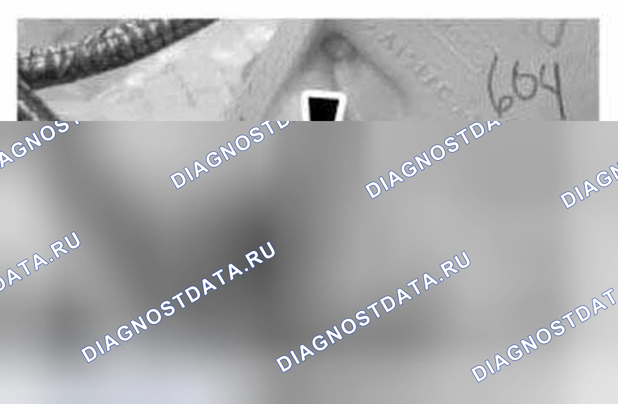 Рис. 1287. Ford Mustang V рестайлинг