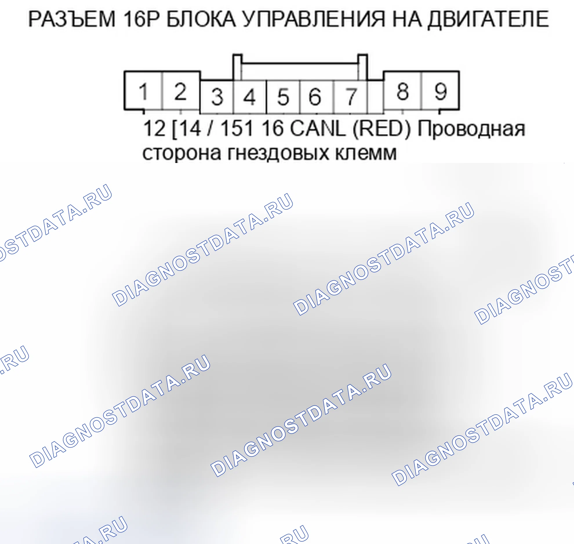 Рис. 370. Honda Odyssey IV