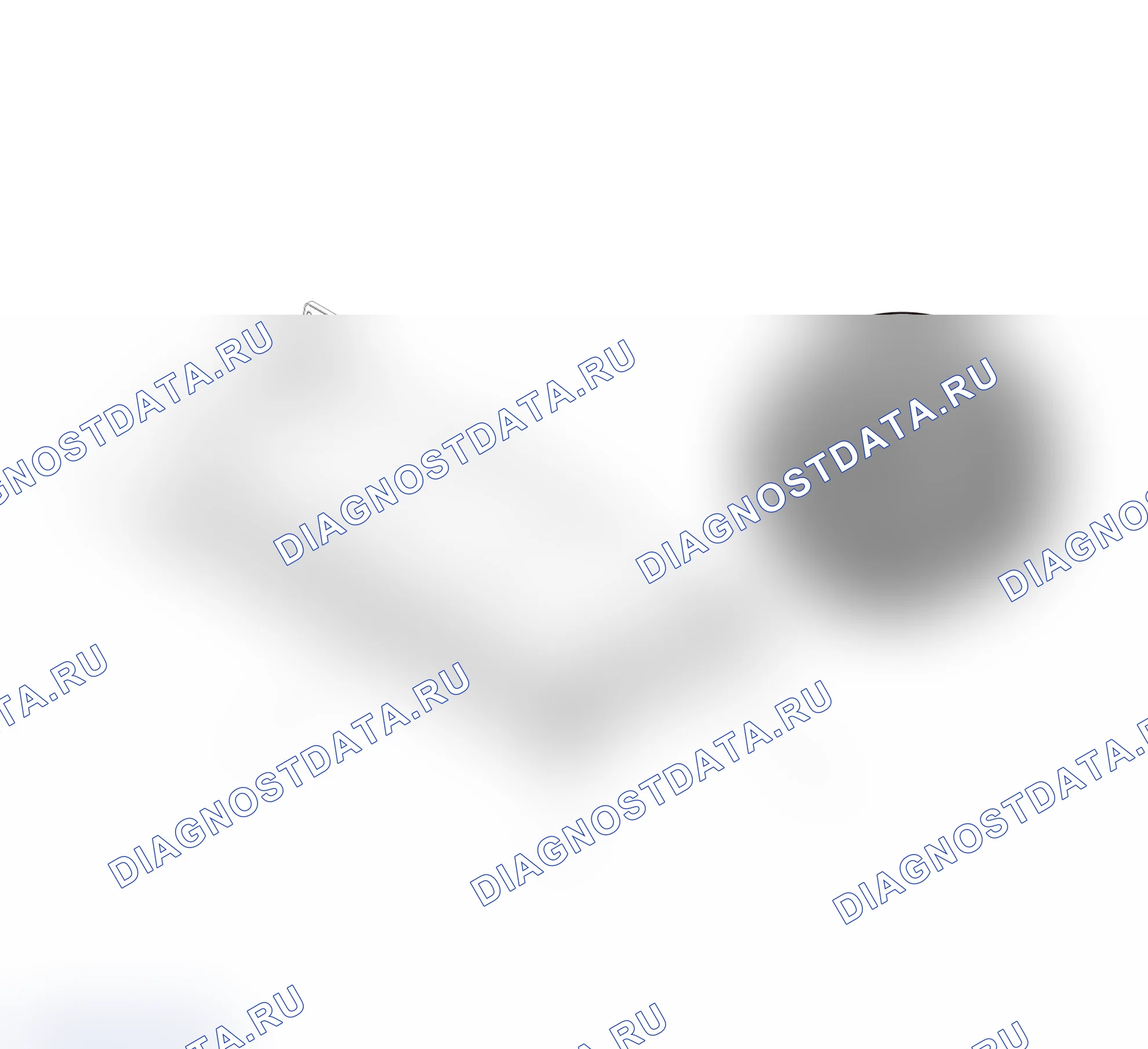 Схема расположения герметичного поролона — Haval Shenshou. Haval Shenshou I