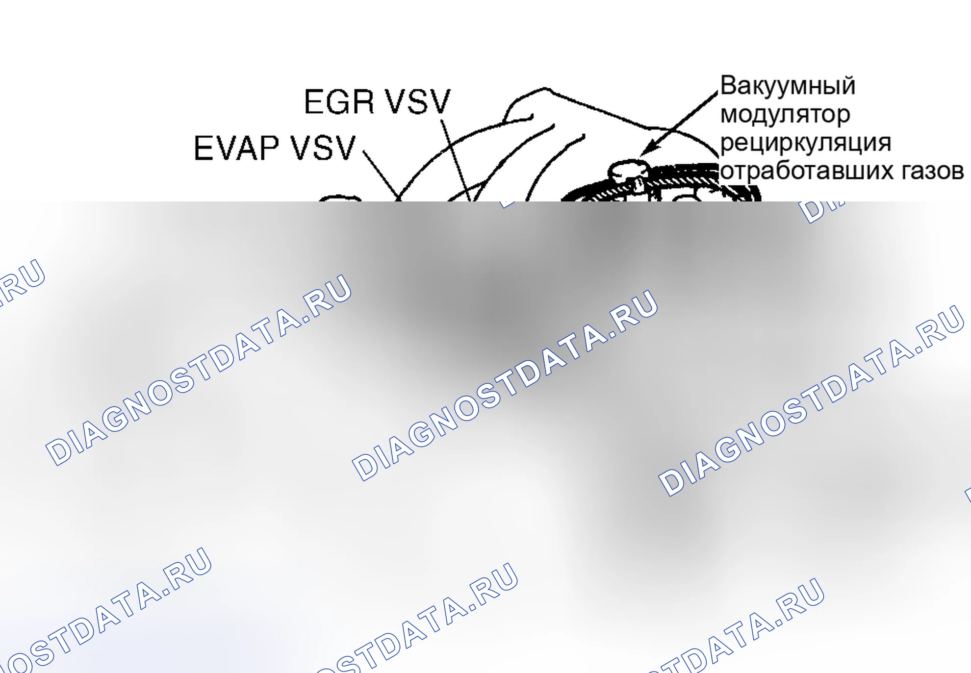 Рис. 3. Toyota Avalon XX10