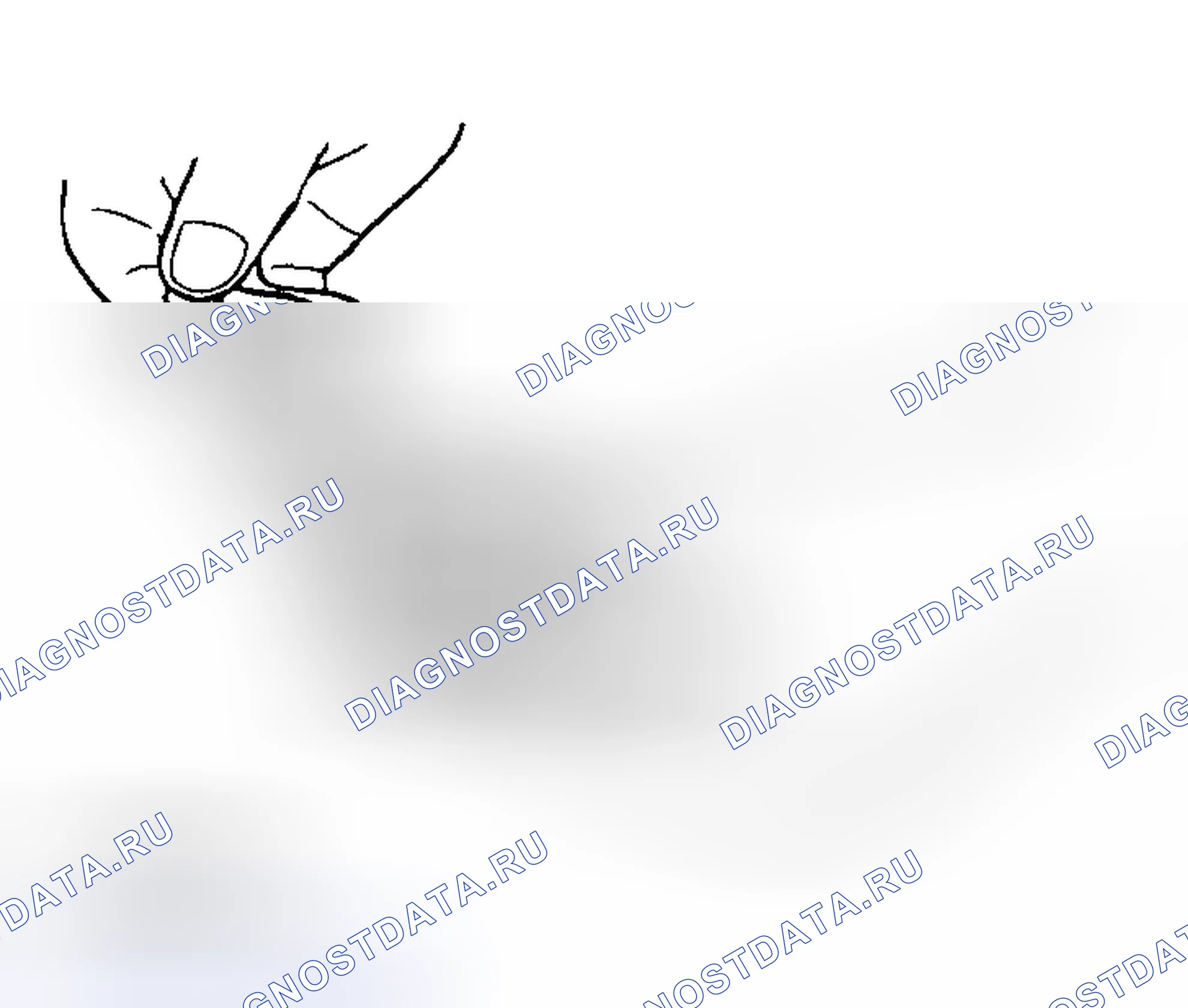 Рис. 58. Mazda MX-5 NA