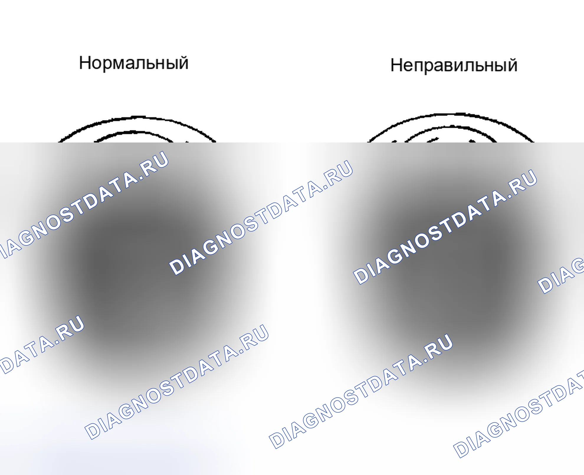 Рис. 3. Kia Soul III рестайлинг
