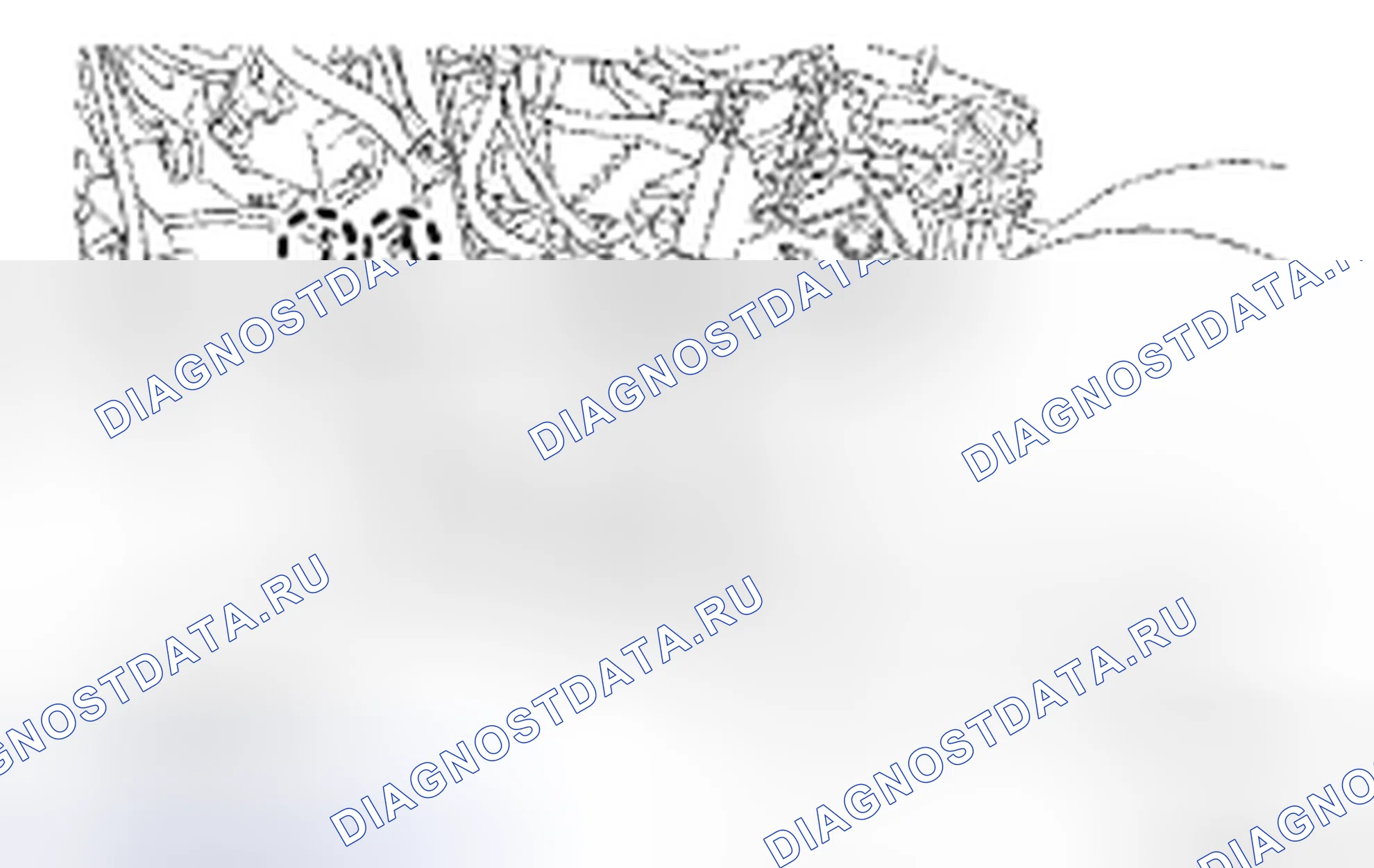 Рис. 199. Toyota Avalon XX30 рестайлинг