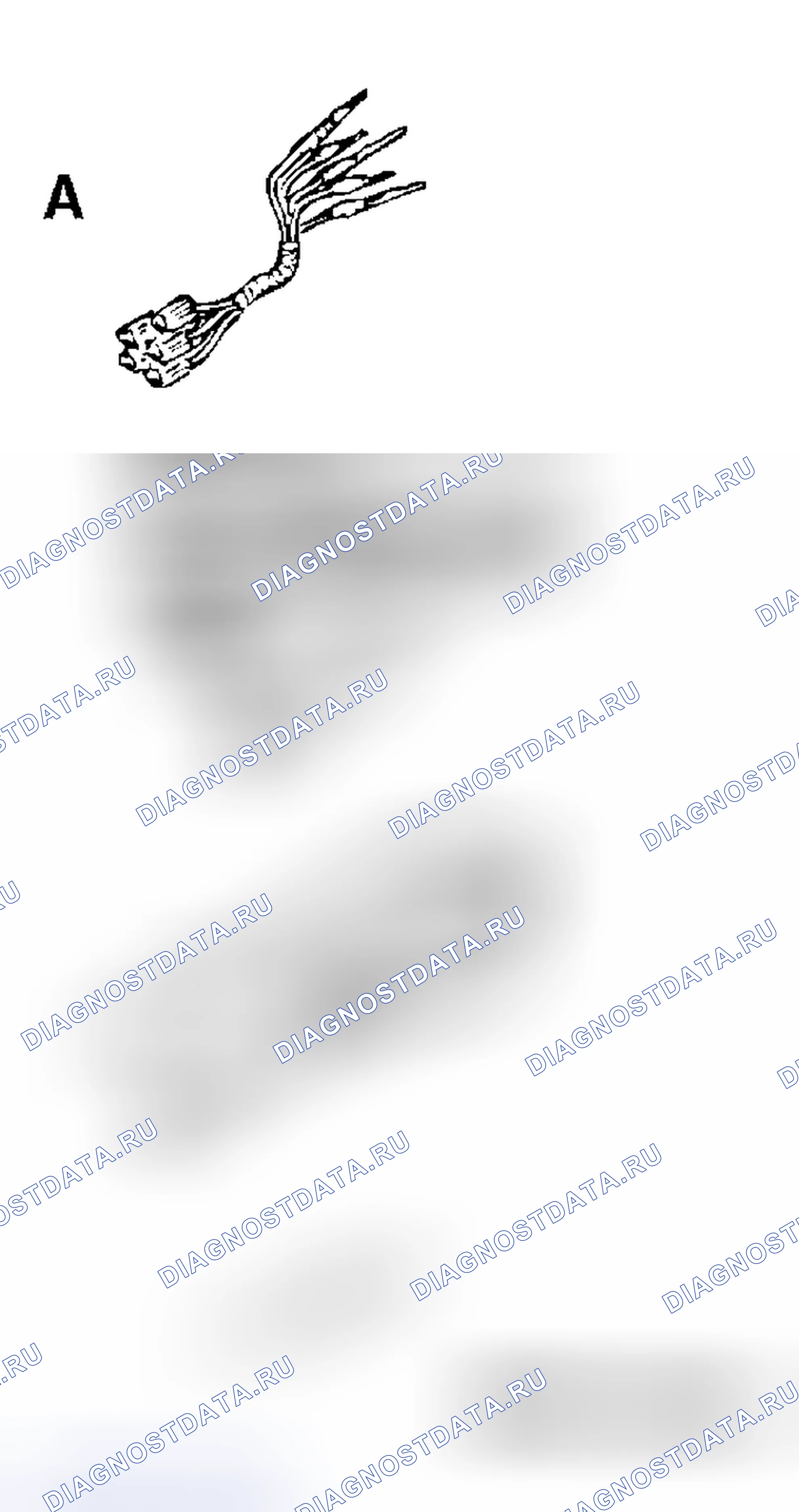 Рис. 250. Mitsubishi Endeavor I