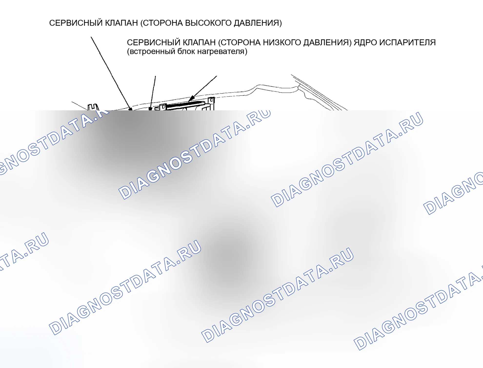 Рис. 225. Honda Accord VII рестайлинг