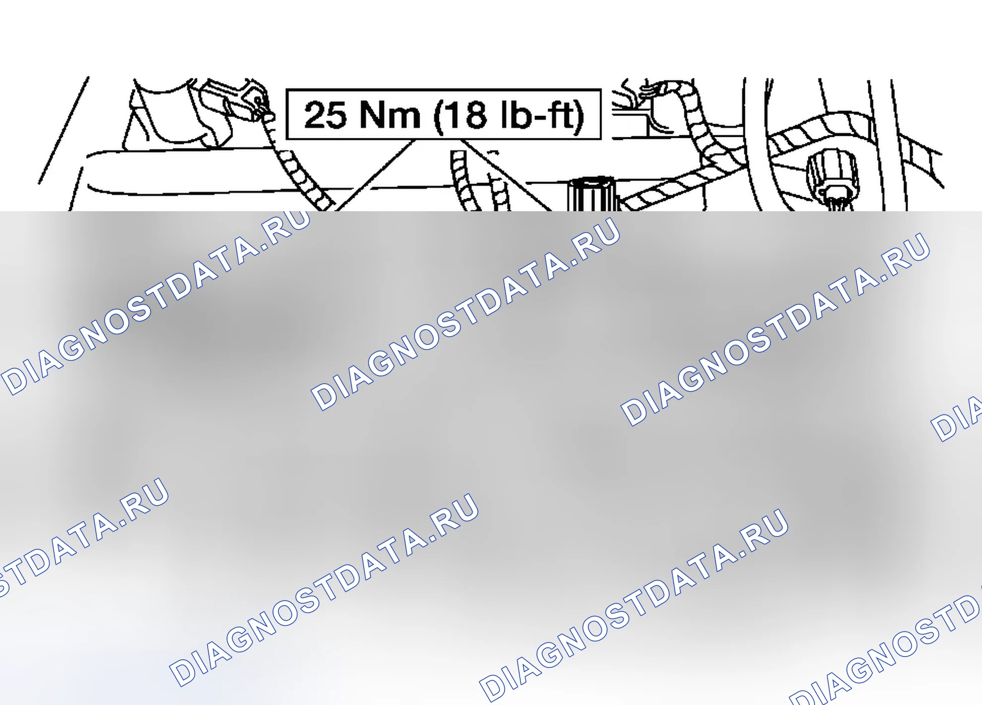 Рис. 1403. Ford Focus I рестайлинг