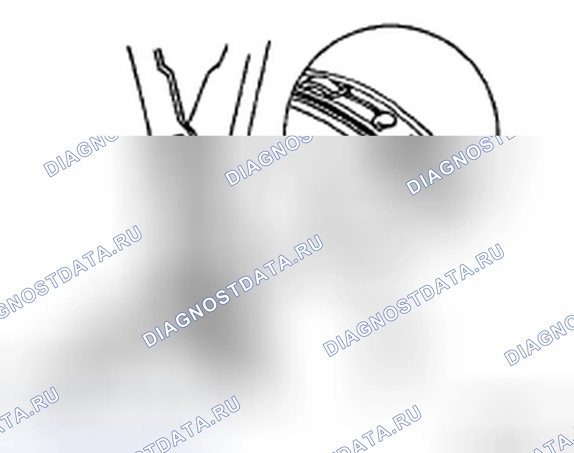 Рис. 17. Infiniti FX35 I рестайлинг