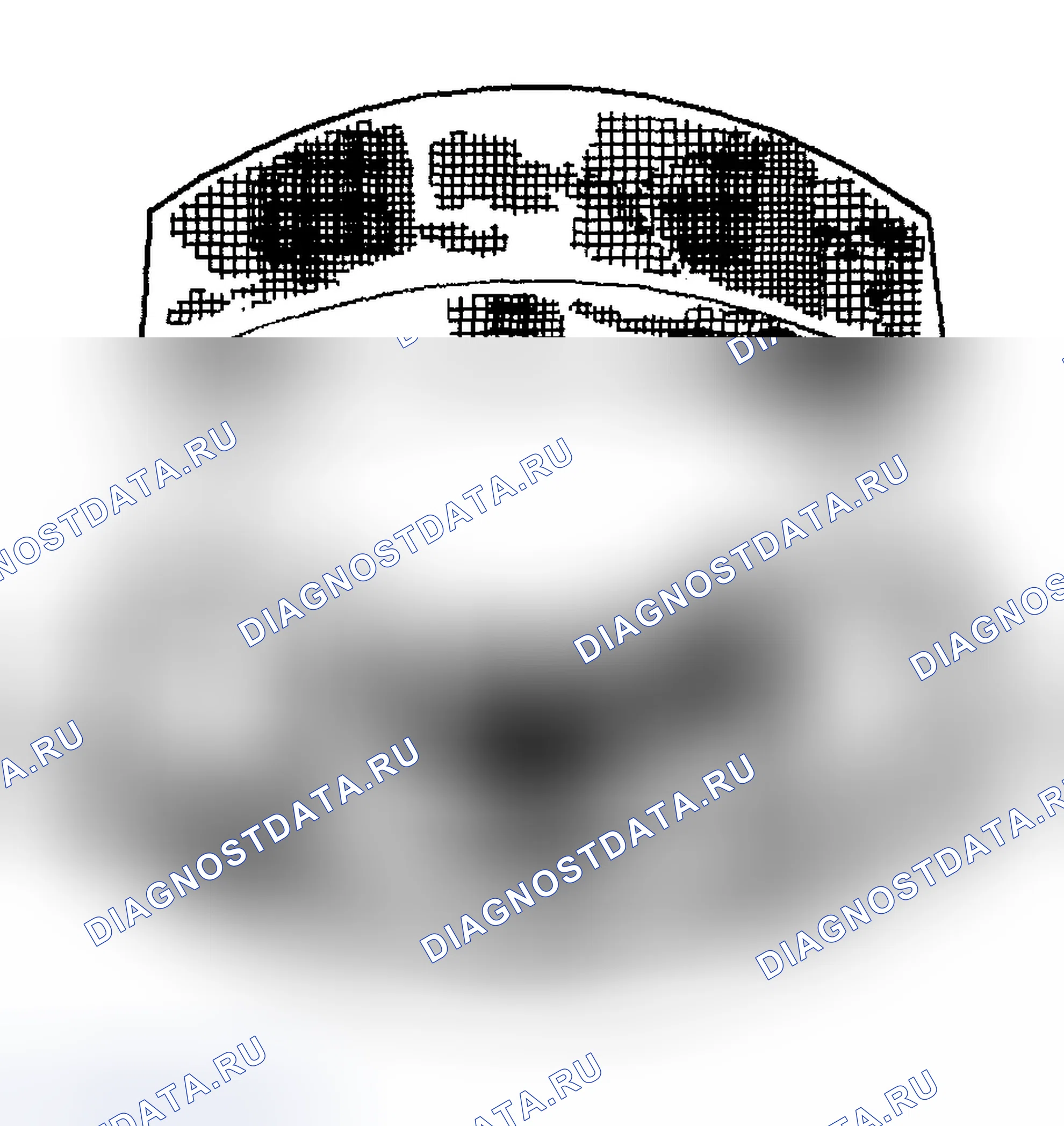 Рис. 32: Фреттаж. Chevrolet TrailBlazer I