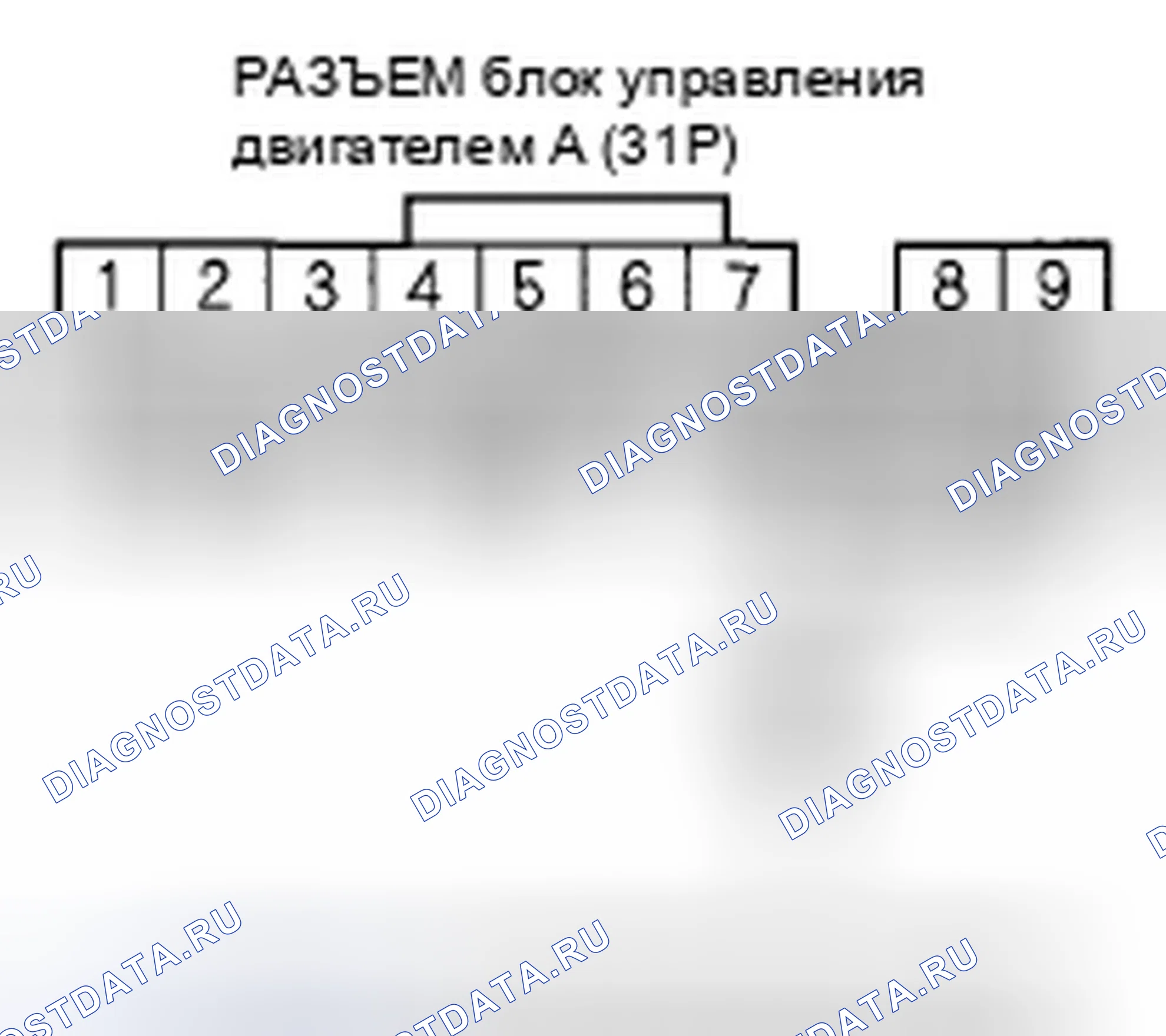 Рис. 484. Honda Element YH2 рестайлинг 2