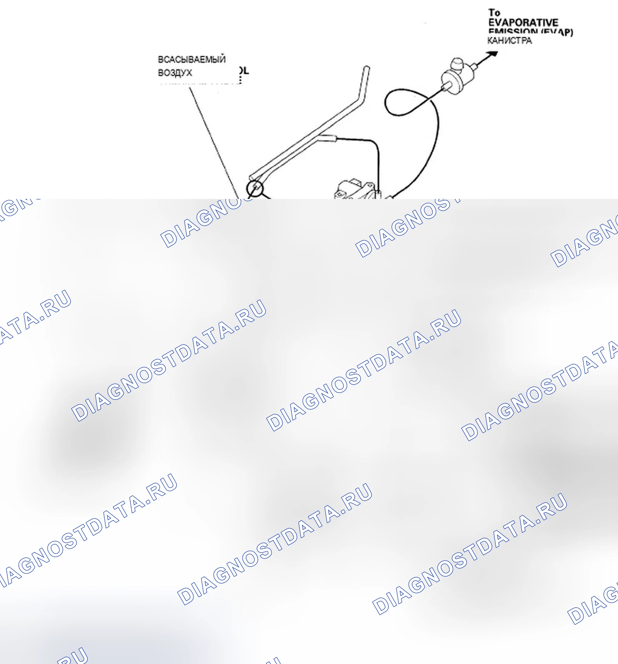 Рис. 20: Трассировка вакуумных шлангов. Acura TSX I