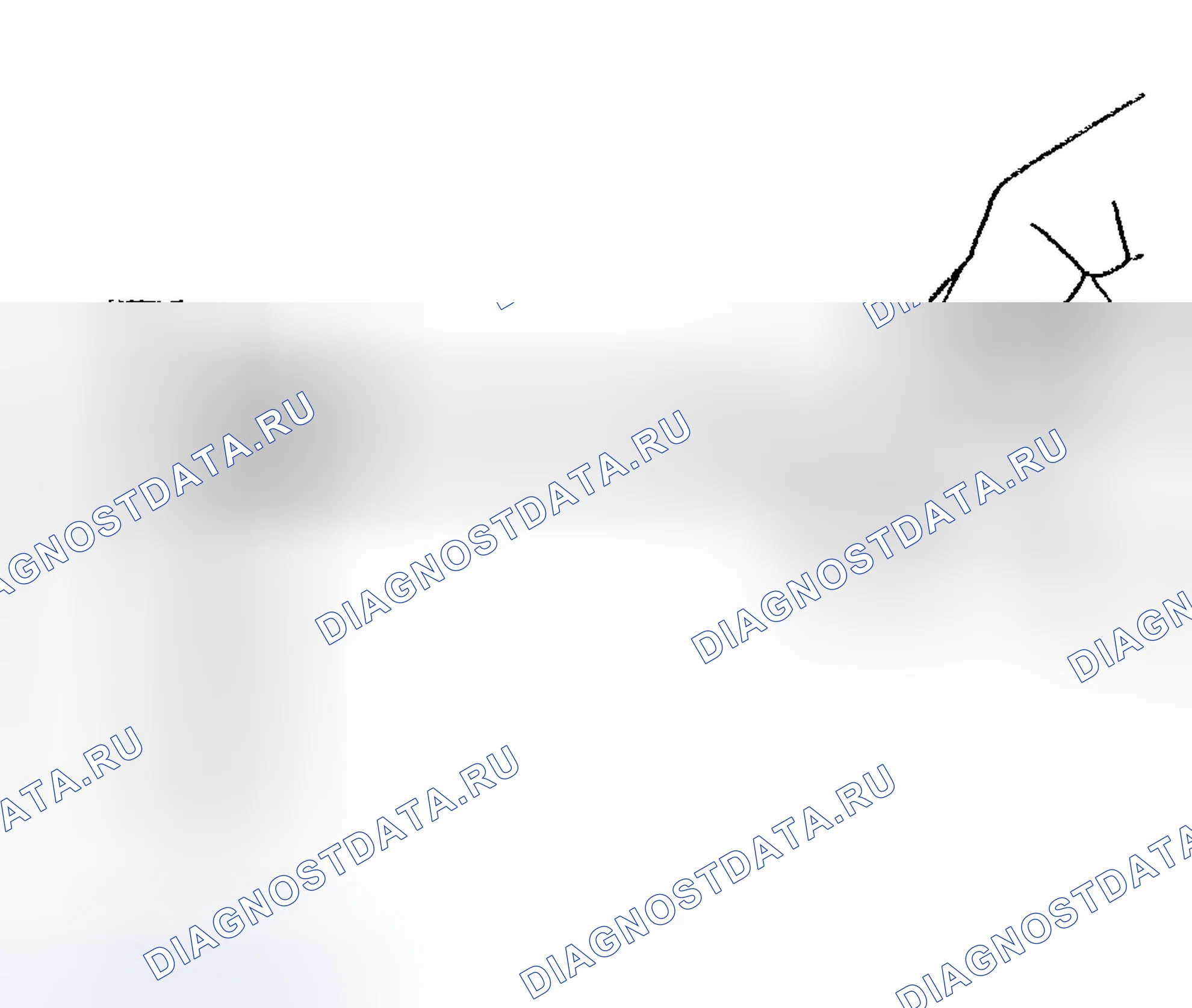 Рис. 1298. Chevrolet TrailBlazer I