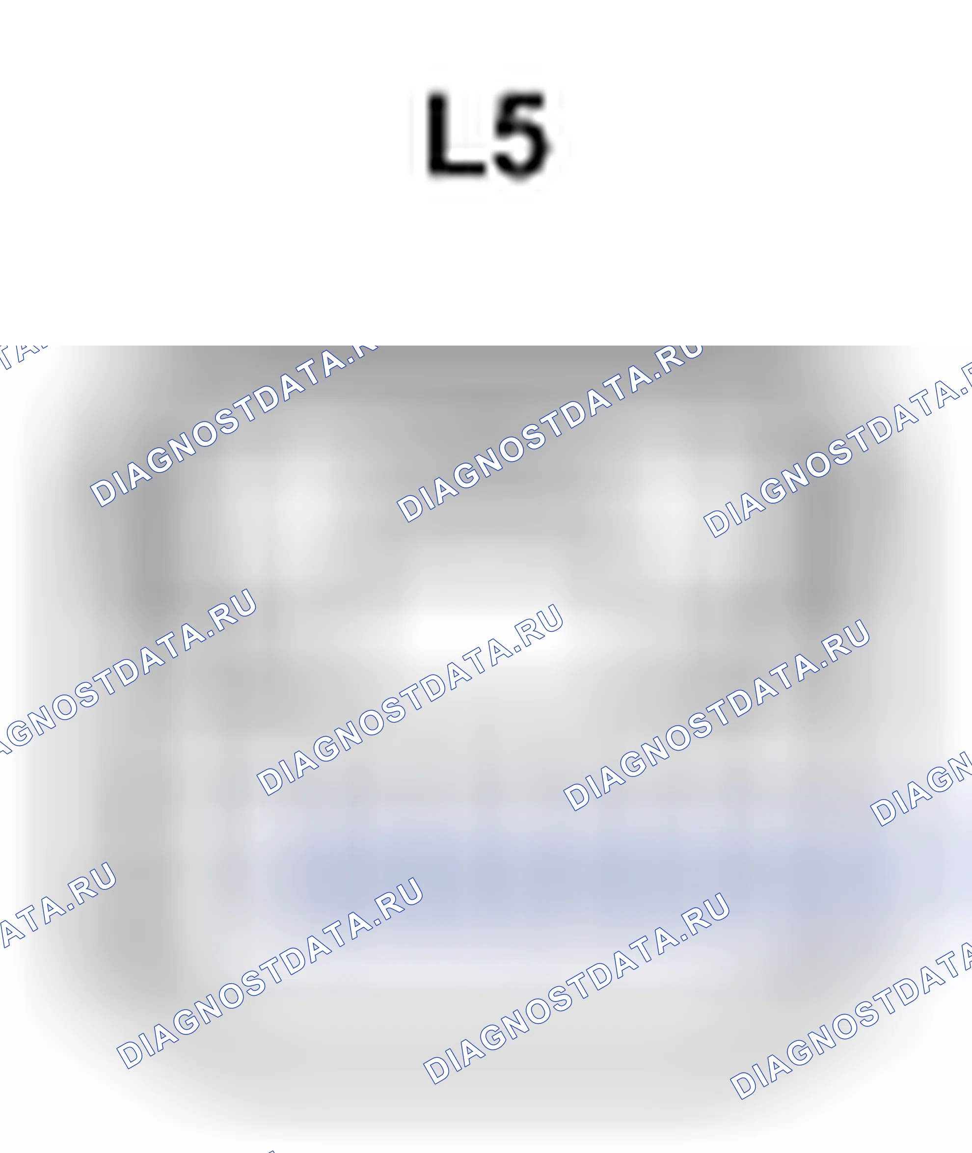 Рис. 512: Вид с торца разъема подсветки регистра (со стороны водителя) (L5). Lexus LS IV