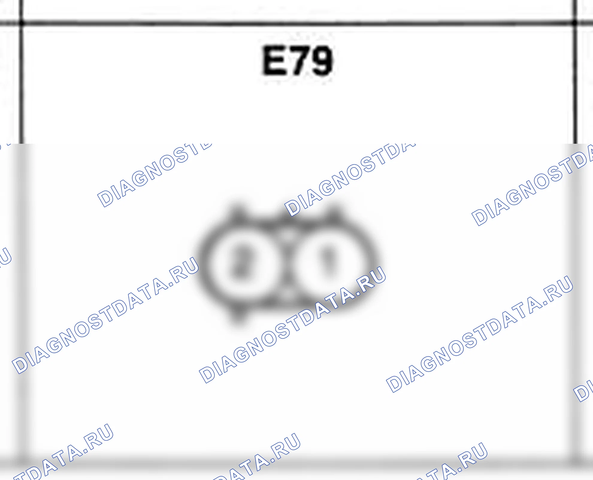 Распиновка разъёма E79 — жгута двигателя. Hyundai H-1 A1