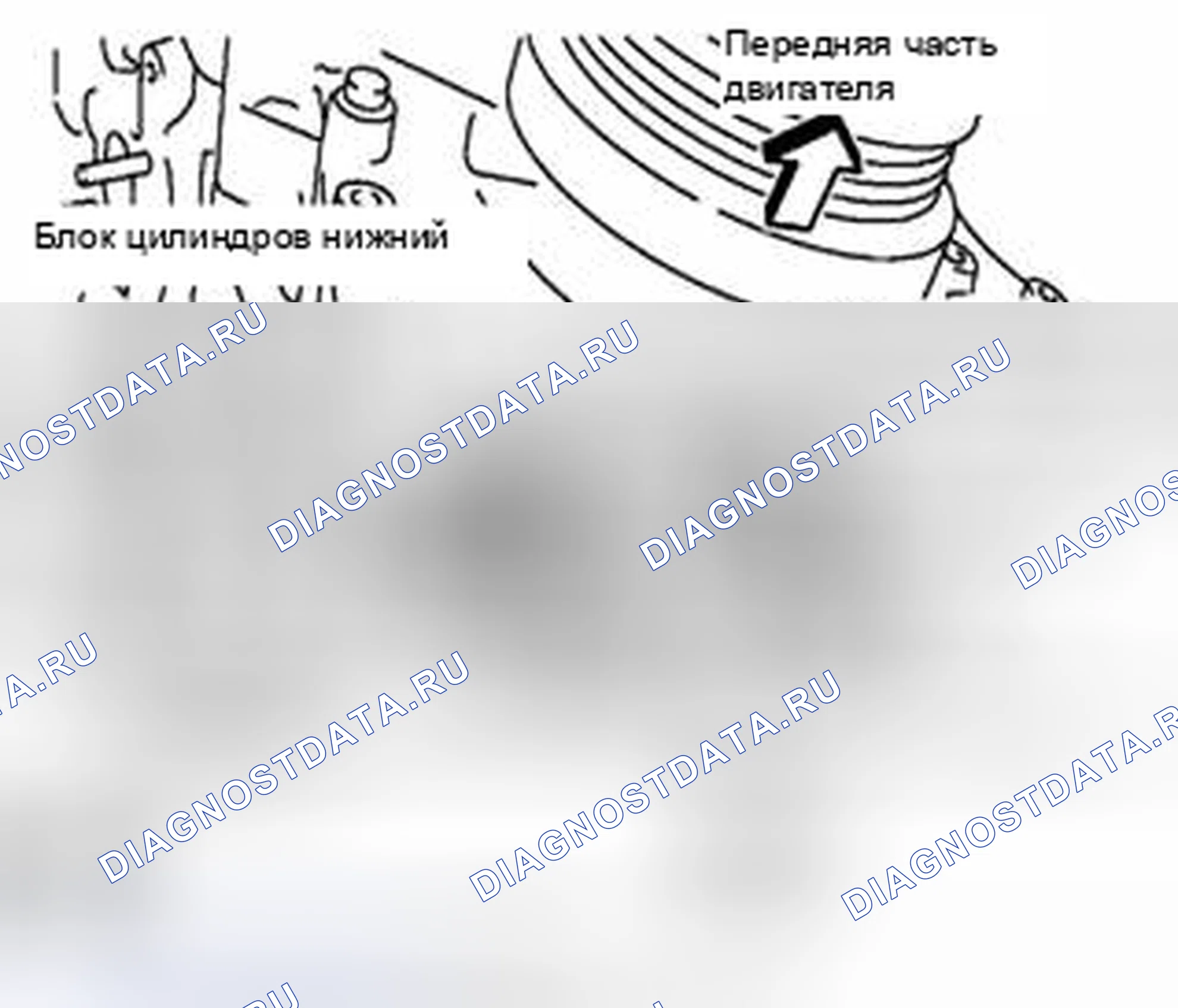 Рис. 39. Suzuki Equator I
