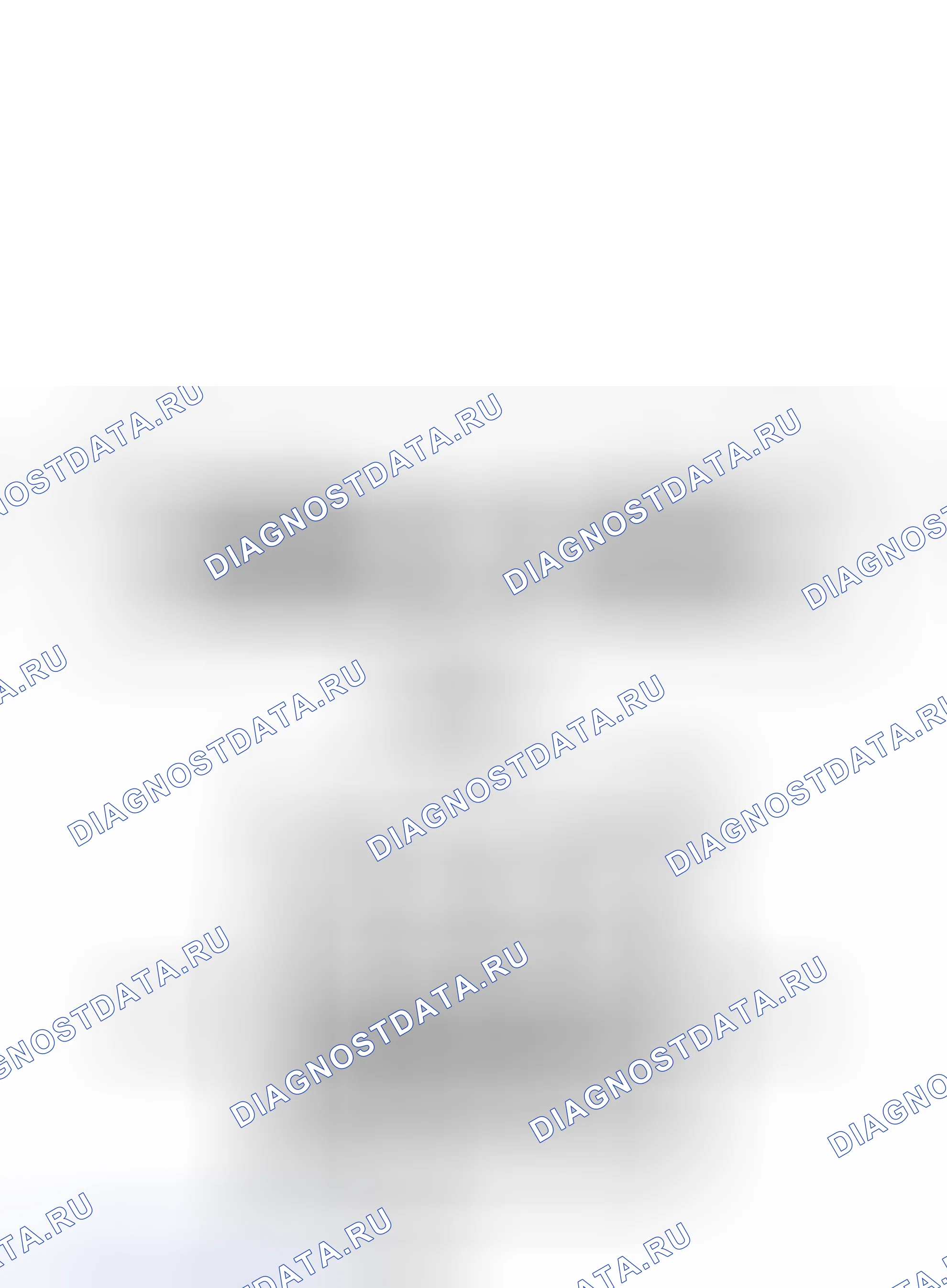 Рис. 123. Haval H4 I