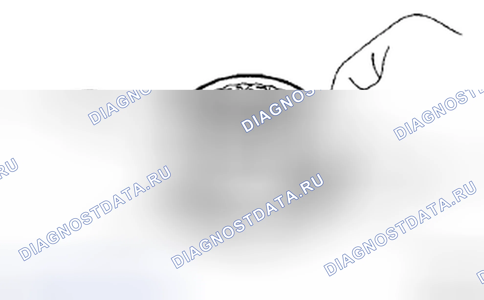 Рис. 190. Toyota Corolla X