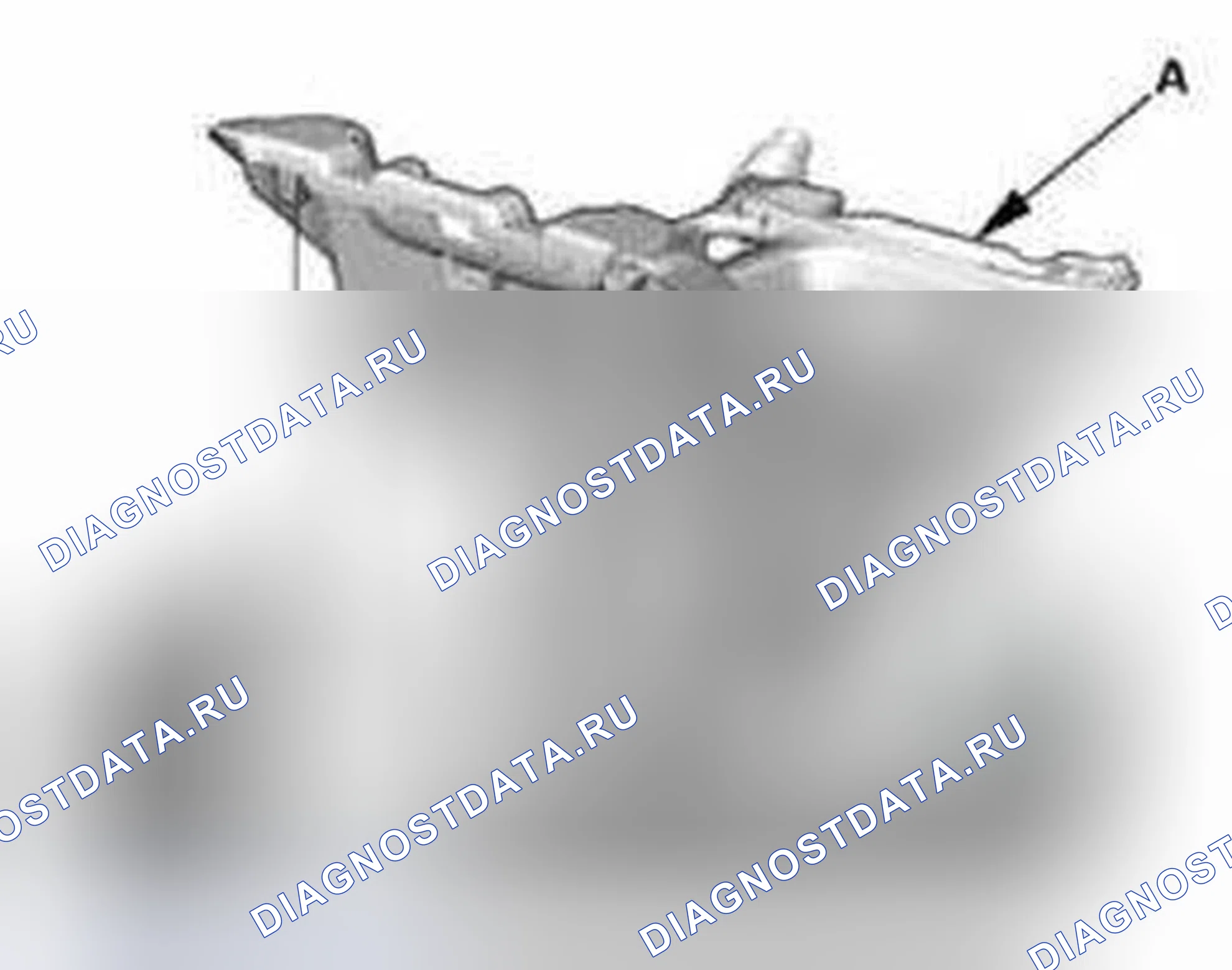 Рис. 519. Honda Civic IX
