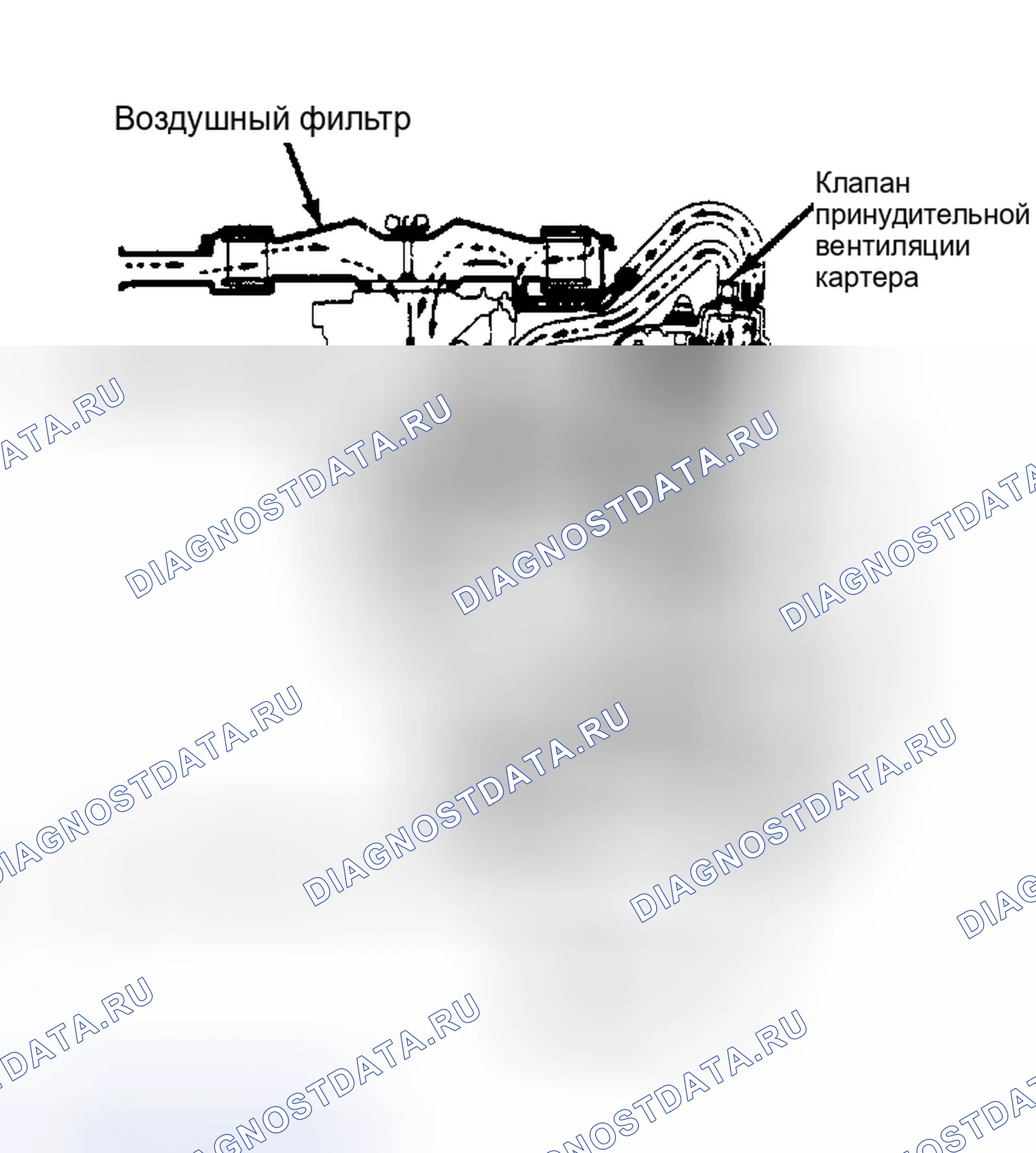 Рис. 7: Система вентиляции картера (Tercel и Corolla). Toyota Celica A60