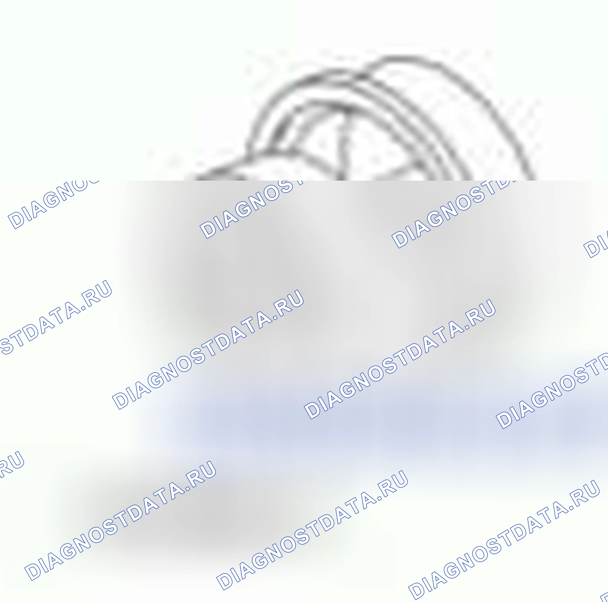 Рис. 329. Hyundai ix55 I
