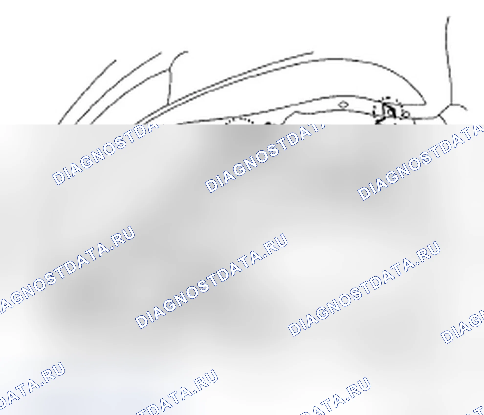 Рис. 100. Honda Accord VII рестайлинг