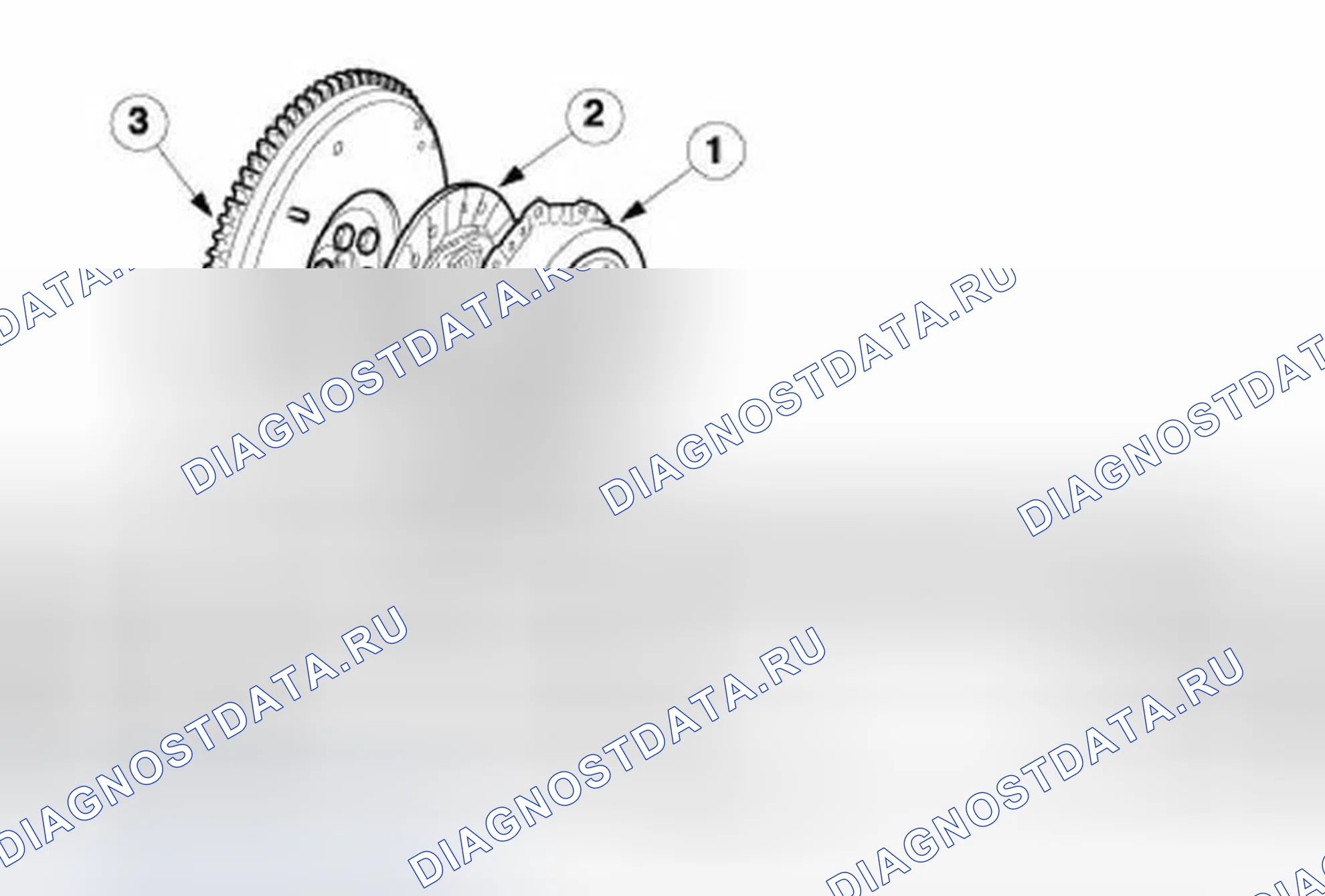 Рис. 1: Компоненты сцепления. Ford Focus I рестайлинг