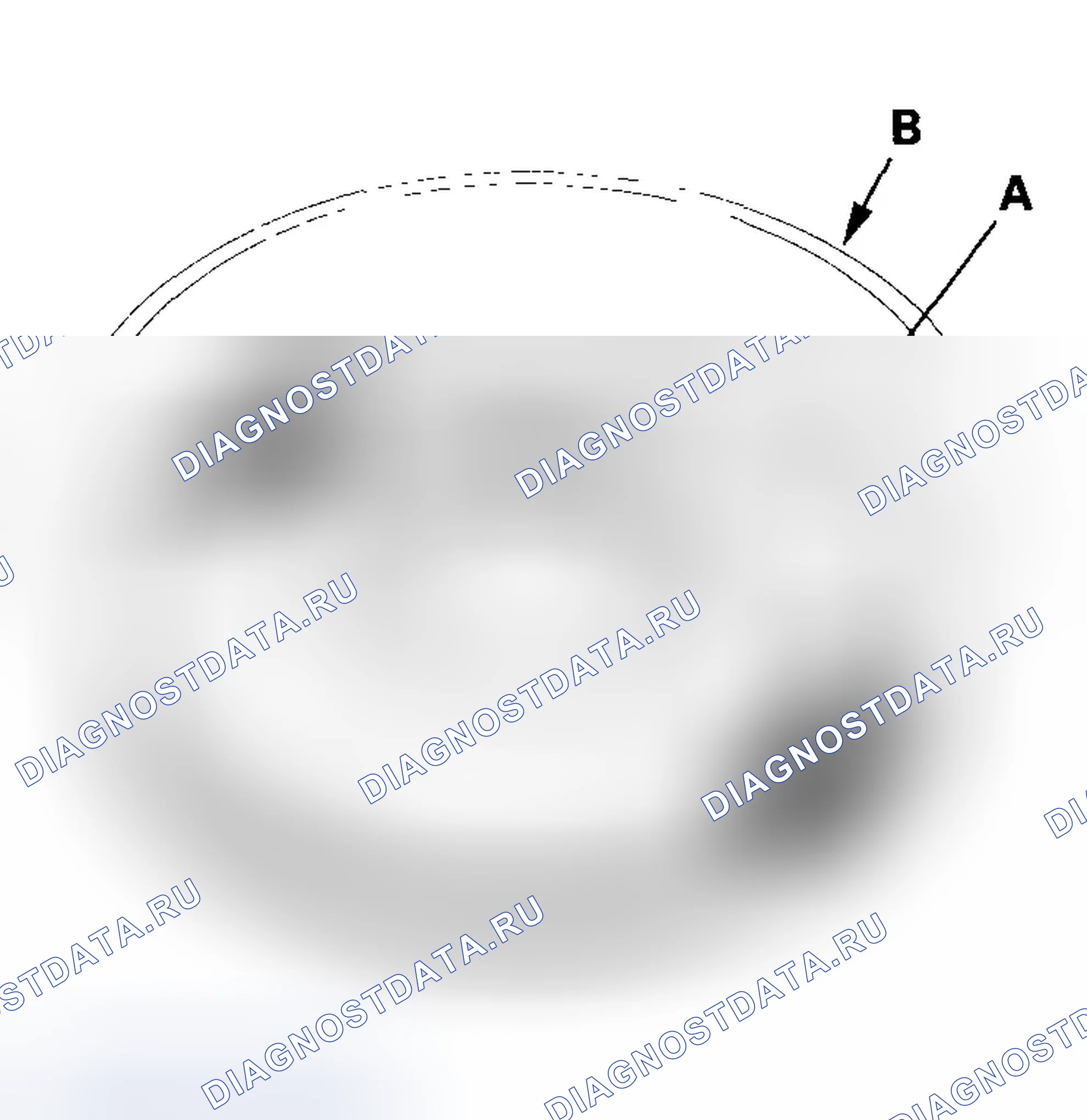 Рис. 333. Honda Element YH2