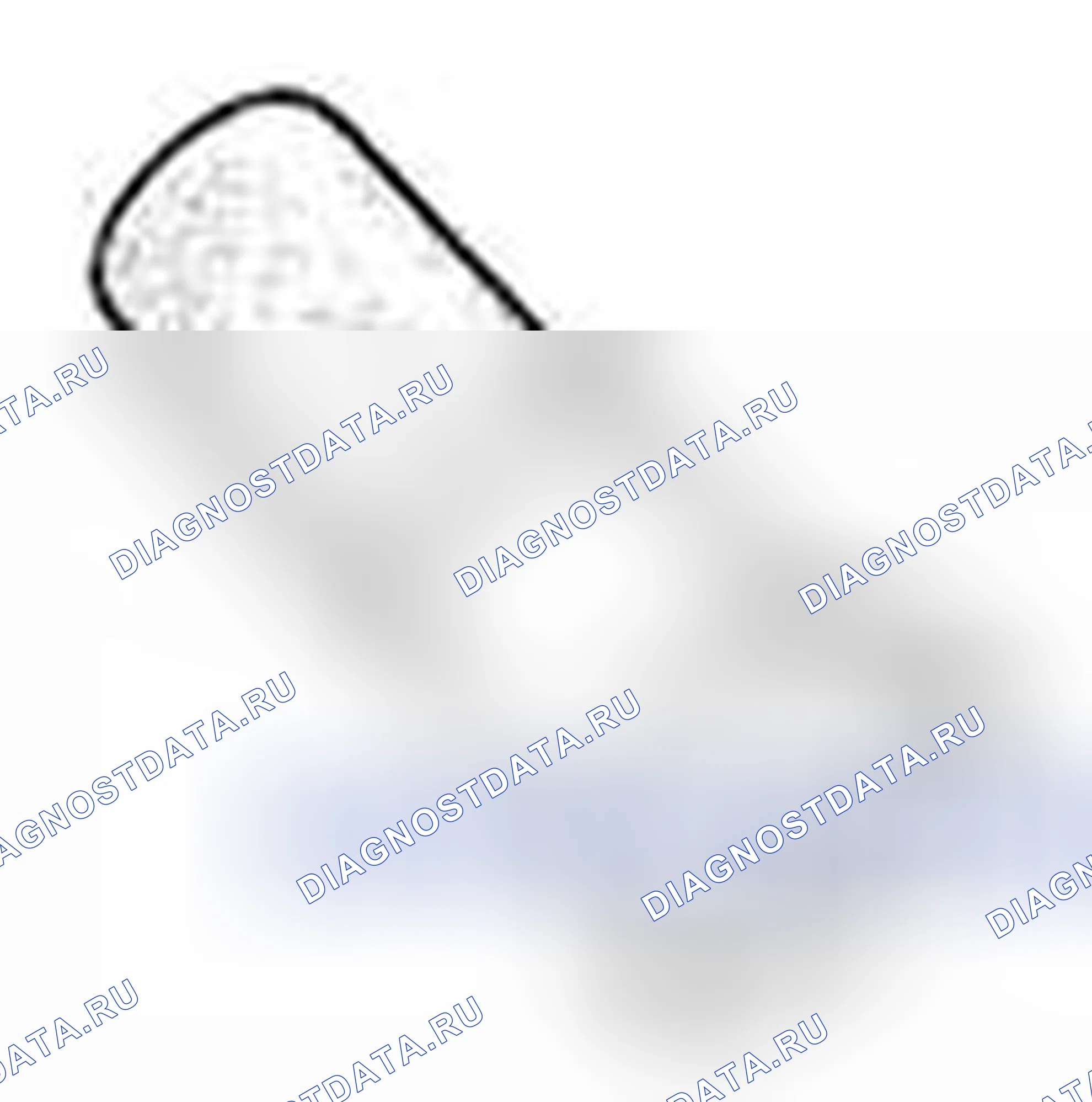Рис. 113. Suzuki Kizashi I