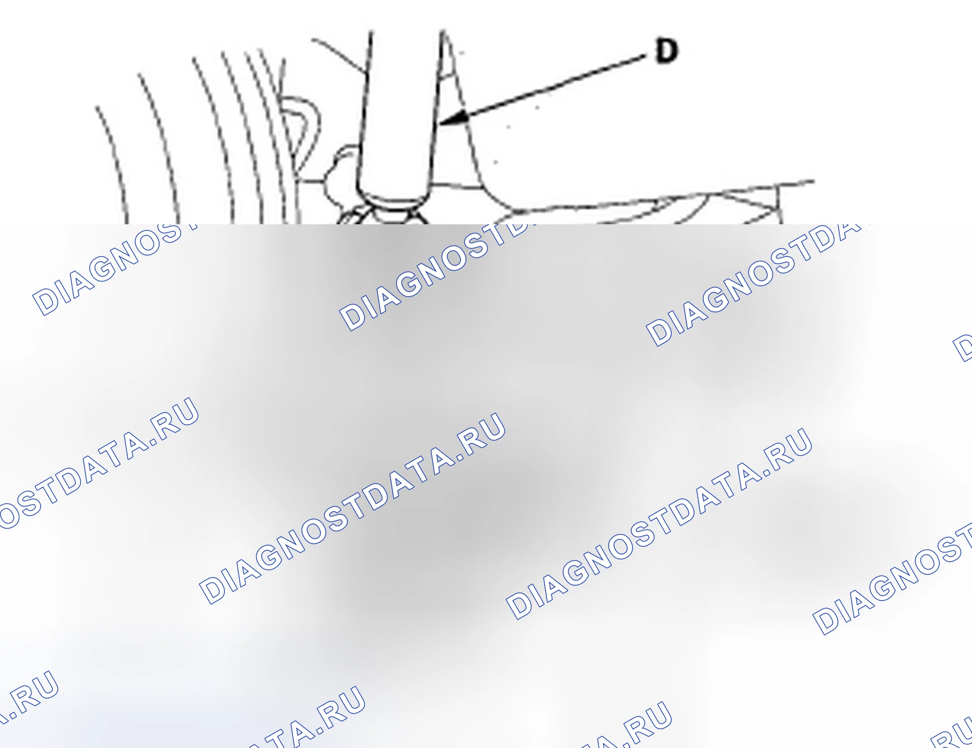 Рис. 123. Honda Civic VIII