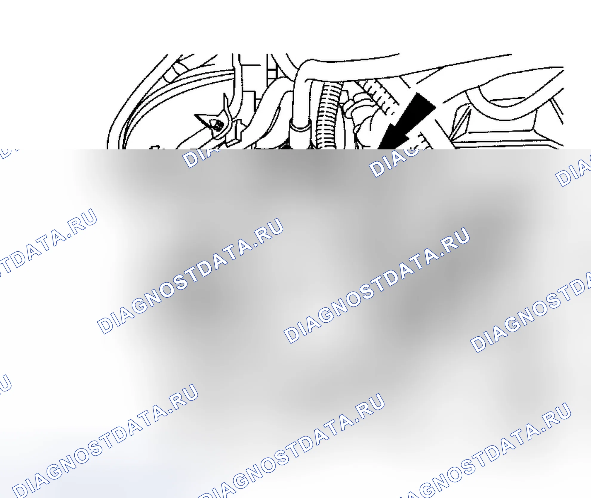 Рис. 1383. Ford Focus I рестайлинг