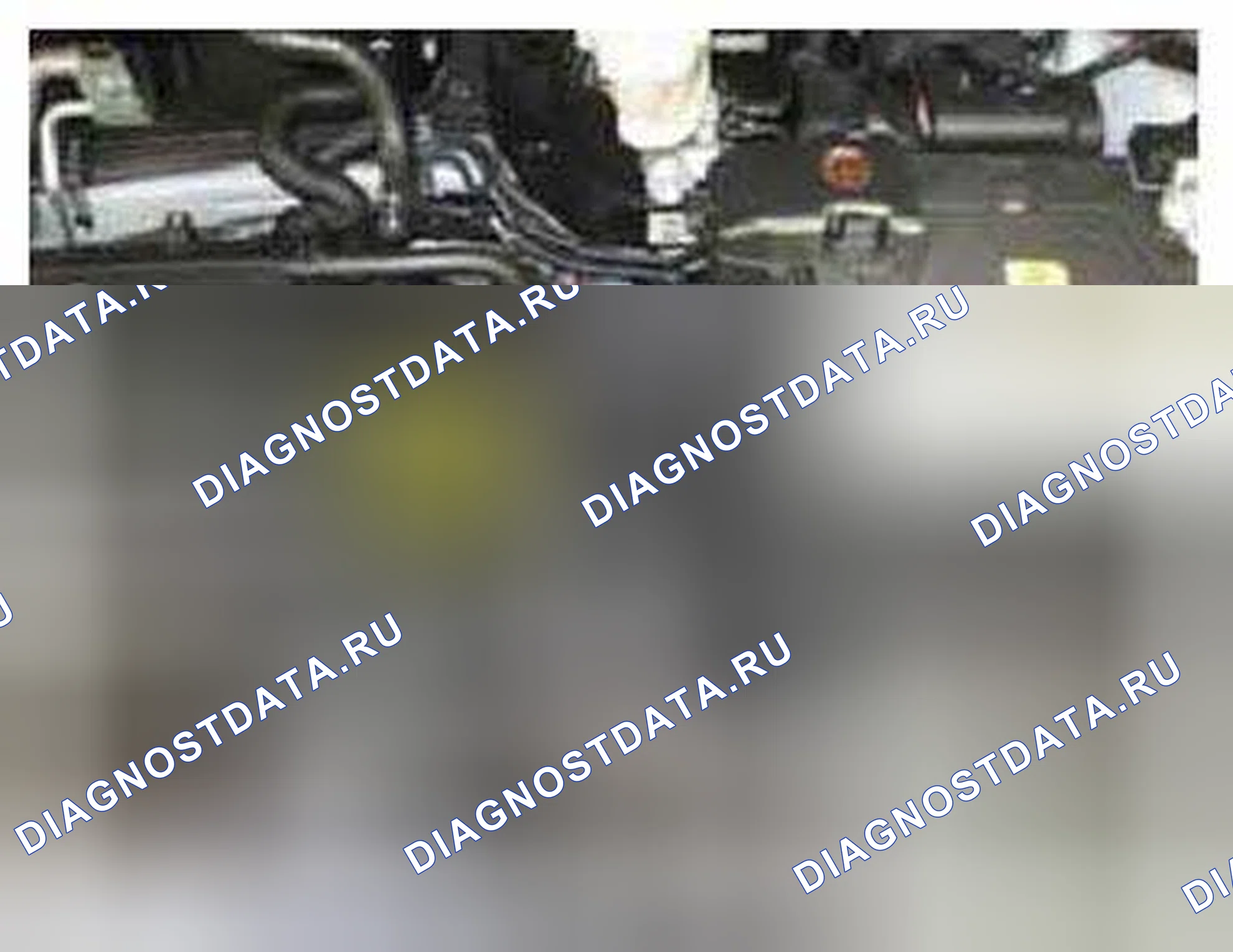 Рис. 227: Расположение компонентов. BMW 6 серия F06/F13/F12
