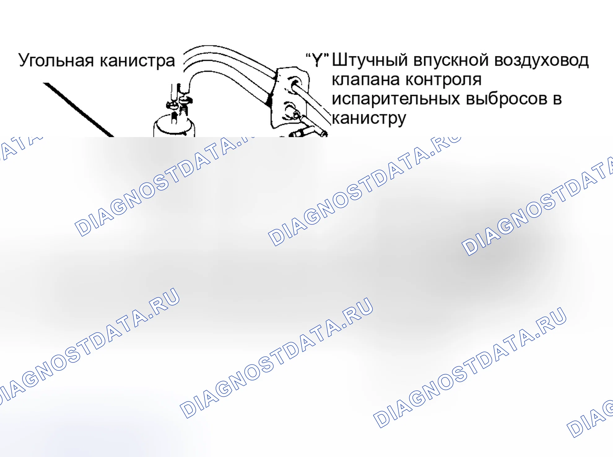 Рис. 3: Поток от углеродной канистры к впускному коллектору (квантовый). Volkswagen Jetta I