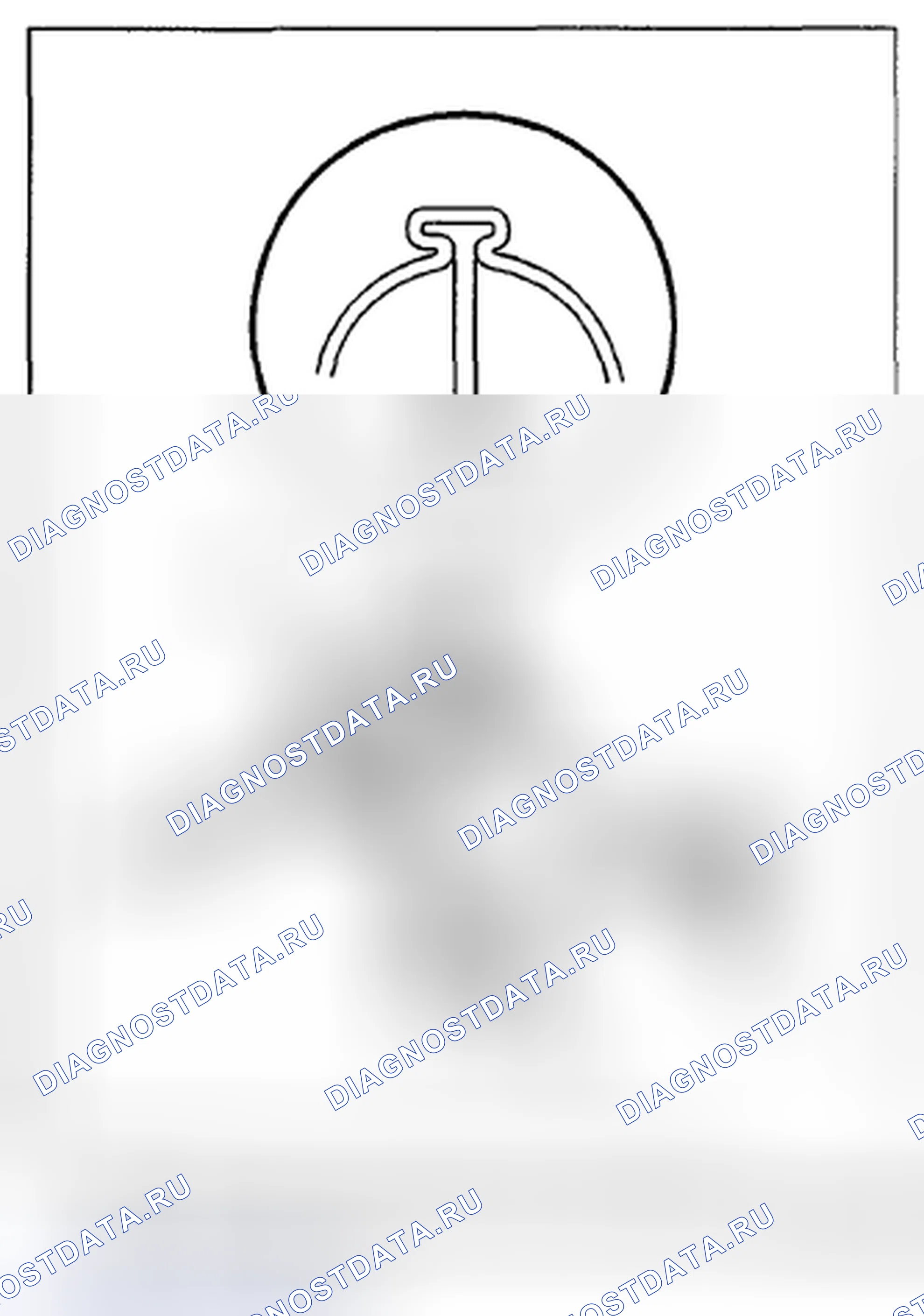 Рис. 218. Subaru Impreza WRX STI GR