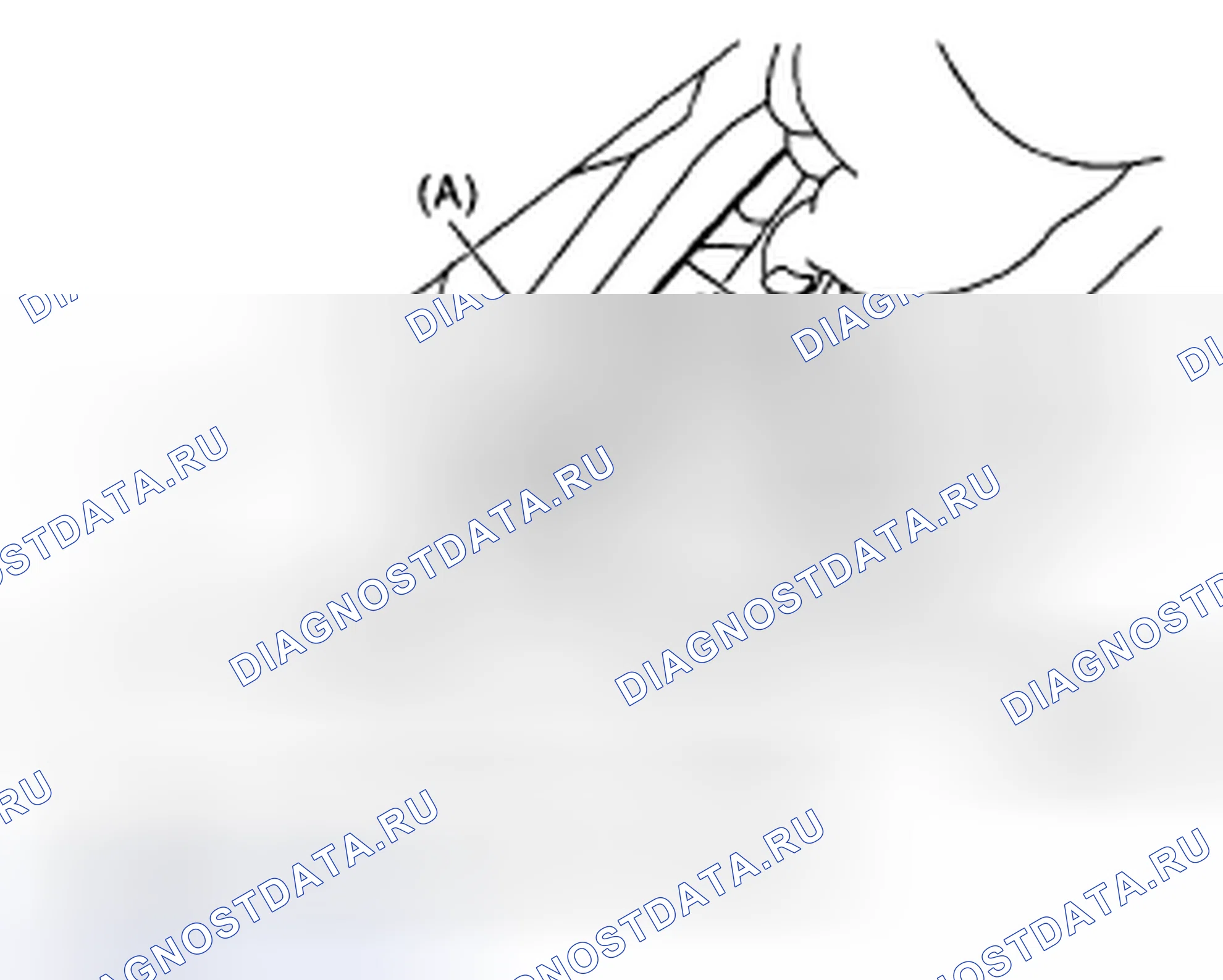 Рис. 142. Subaru Outback BP рестайлинг