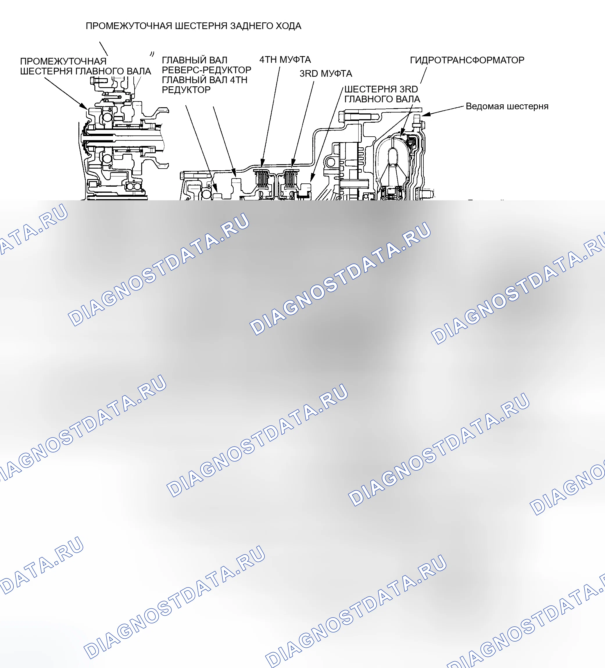 Рис. 439: Вид коробки передач в разрезе. Honda Element YH2
