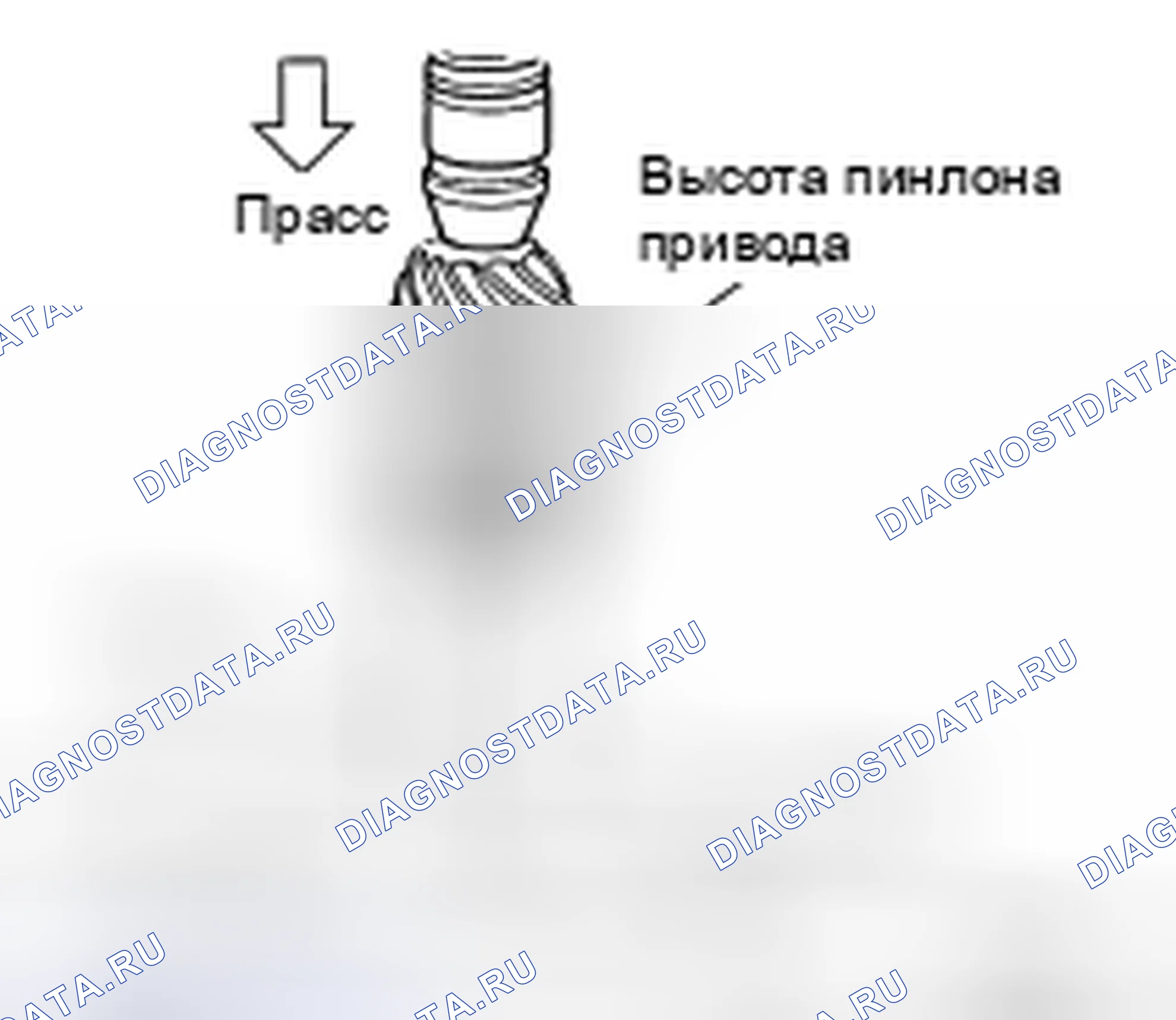 Рис. 298. Honda Torneo I