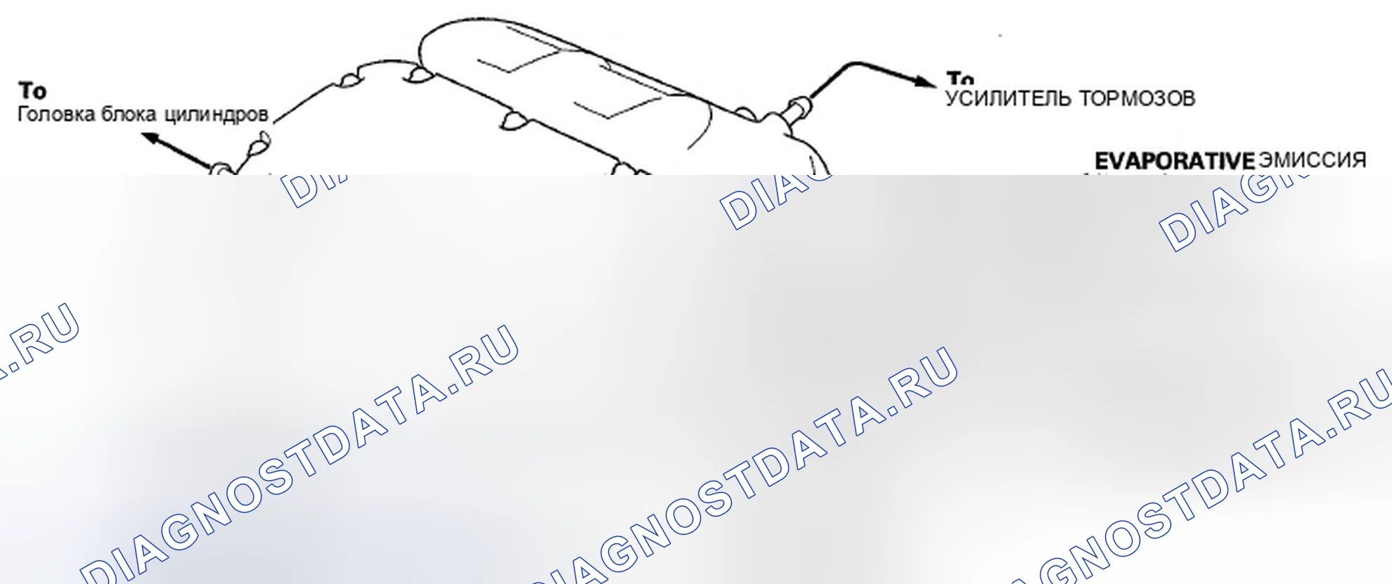 Рис. 8: Трассировка вакуумного шланга. Honda Crosstour I